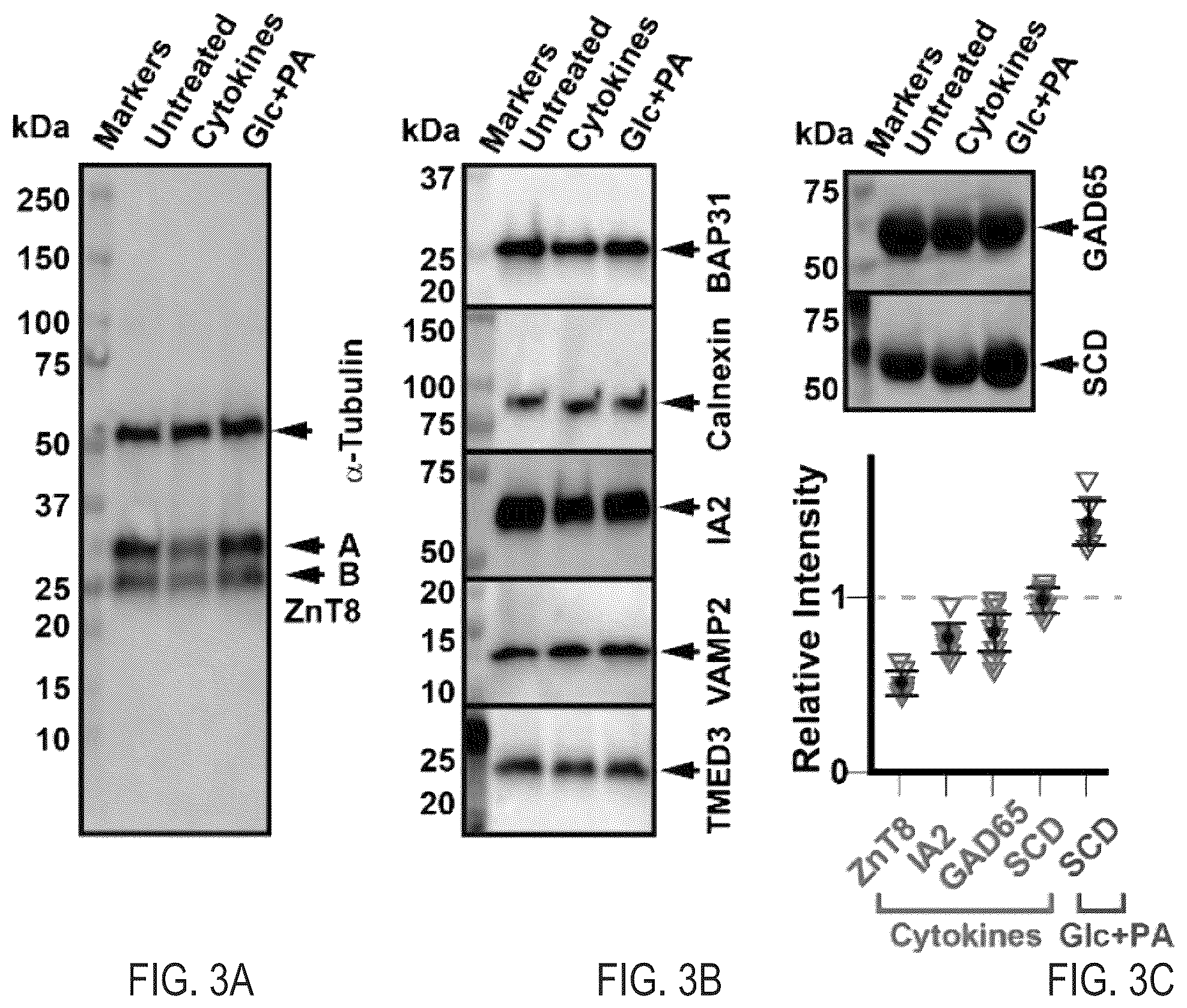 Patent US12366570 Figure 5 – Cell-based ZNT8 assay