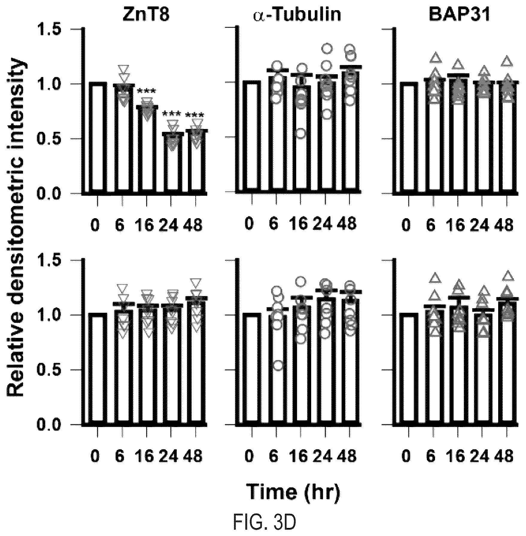 Patent US12366570 Figure 6 – Cell-based ZNT8 assay