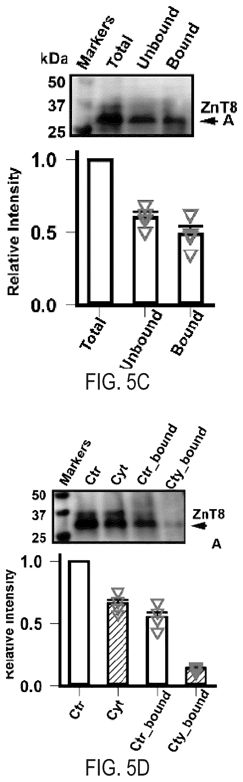 Patent US12366570 Figure 9 – Cell-based ZNT8 assay