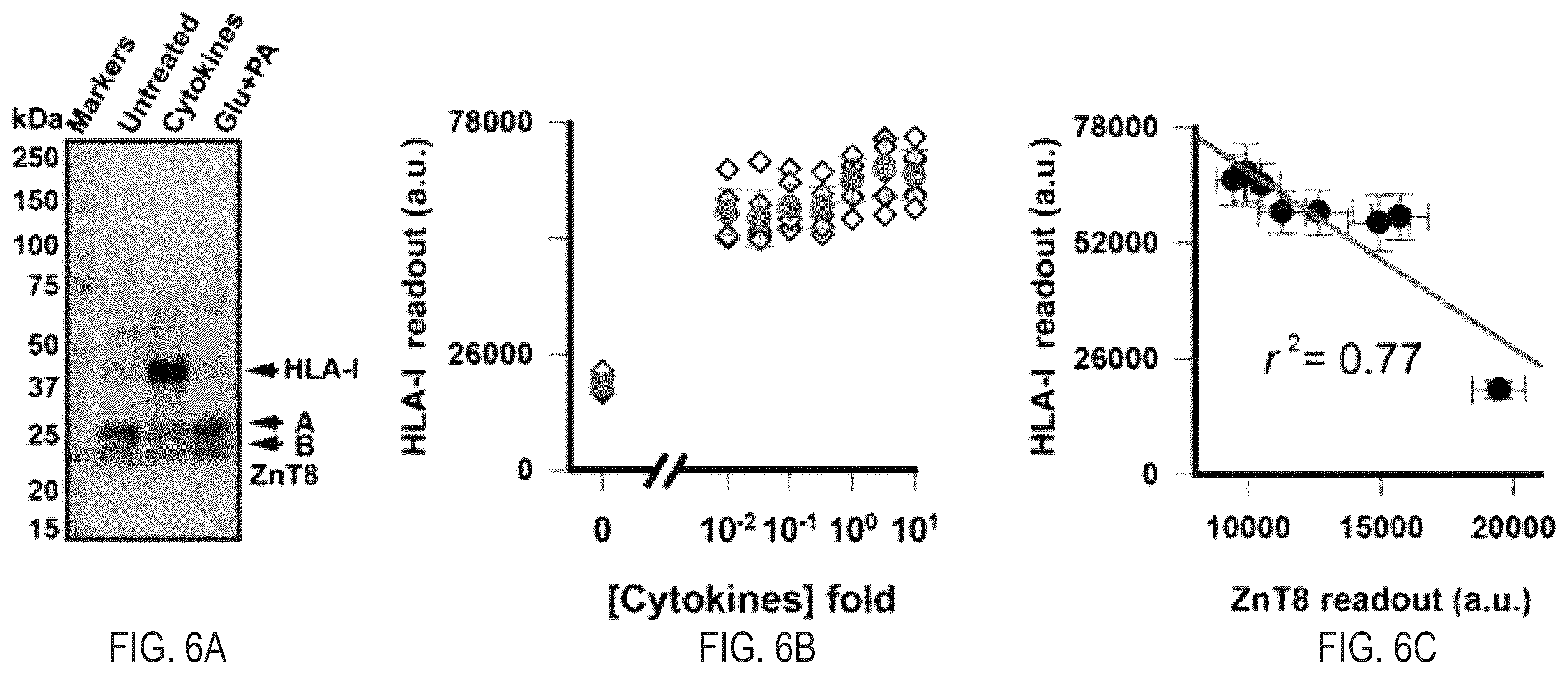 Patent US12366570 Figure 11 – Cell-based ZNT8 assay