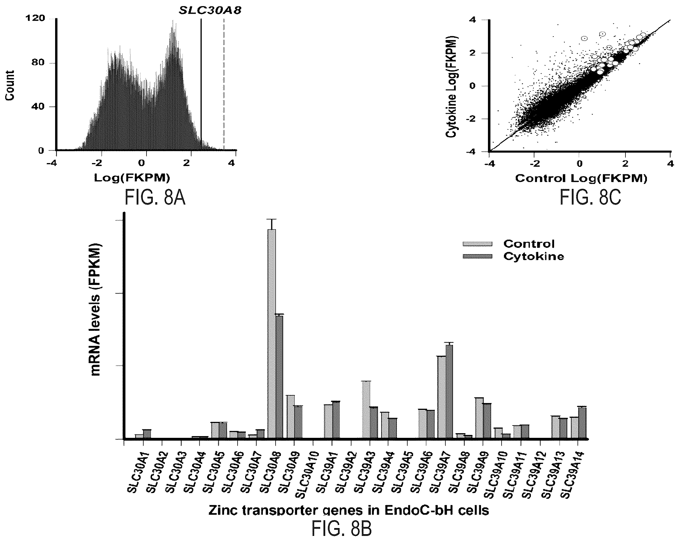 Patent US12366570 Figure 13 – Cell-based ZNT8 assay