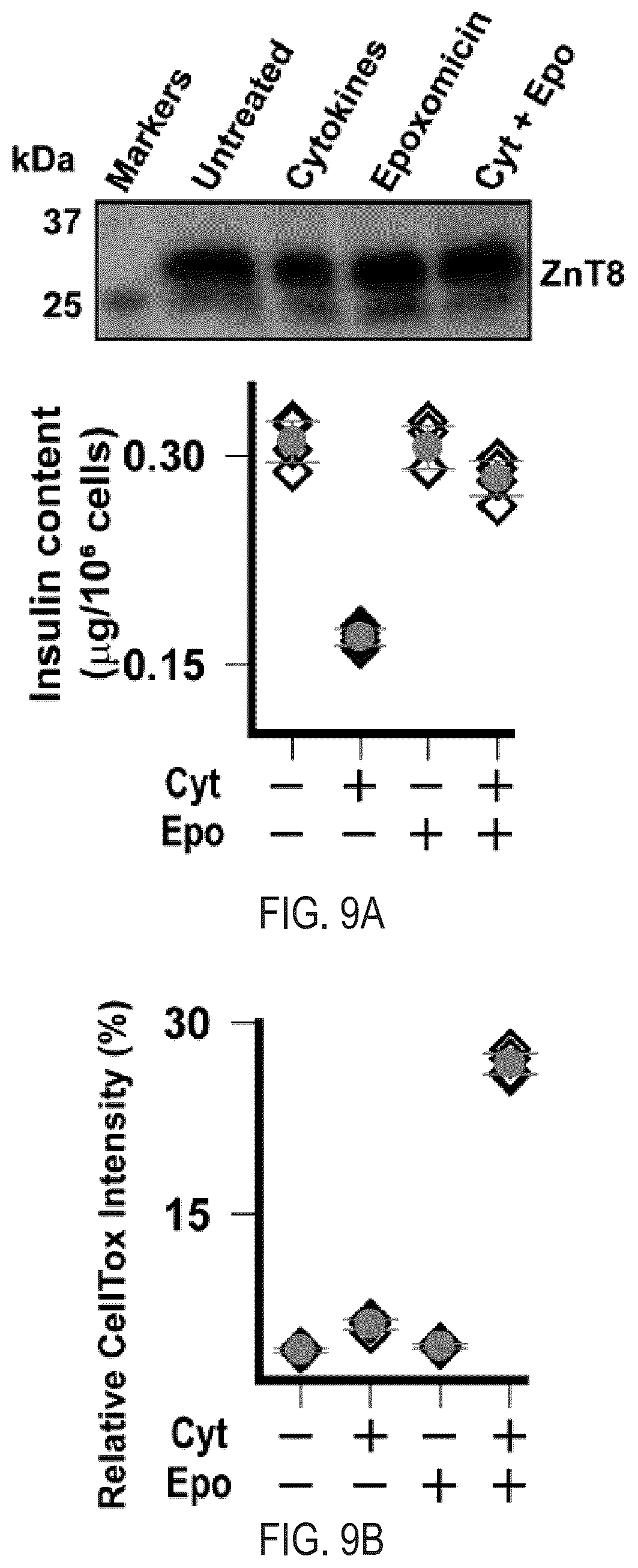 Patent US12366570 Figure 14 – Cell-based ZNT8 assay