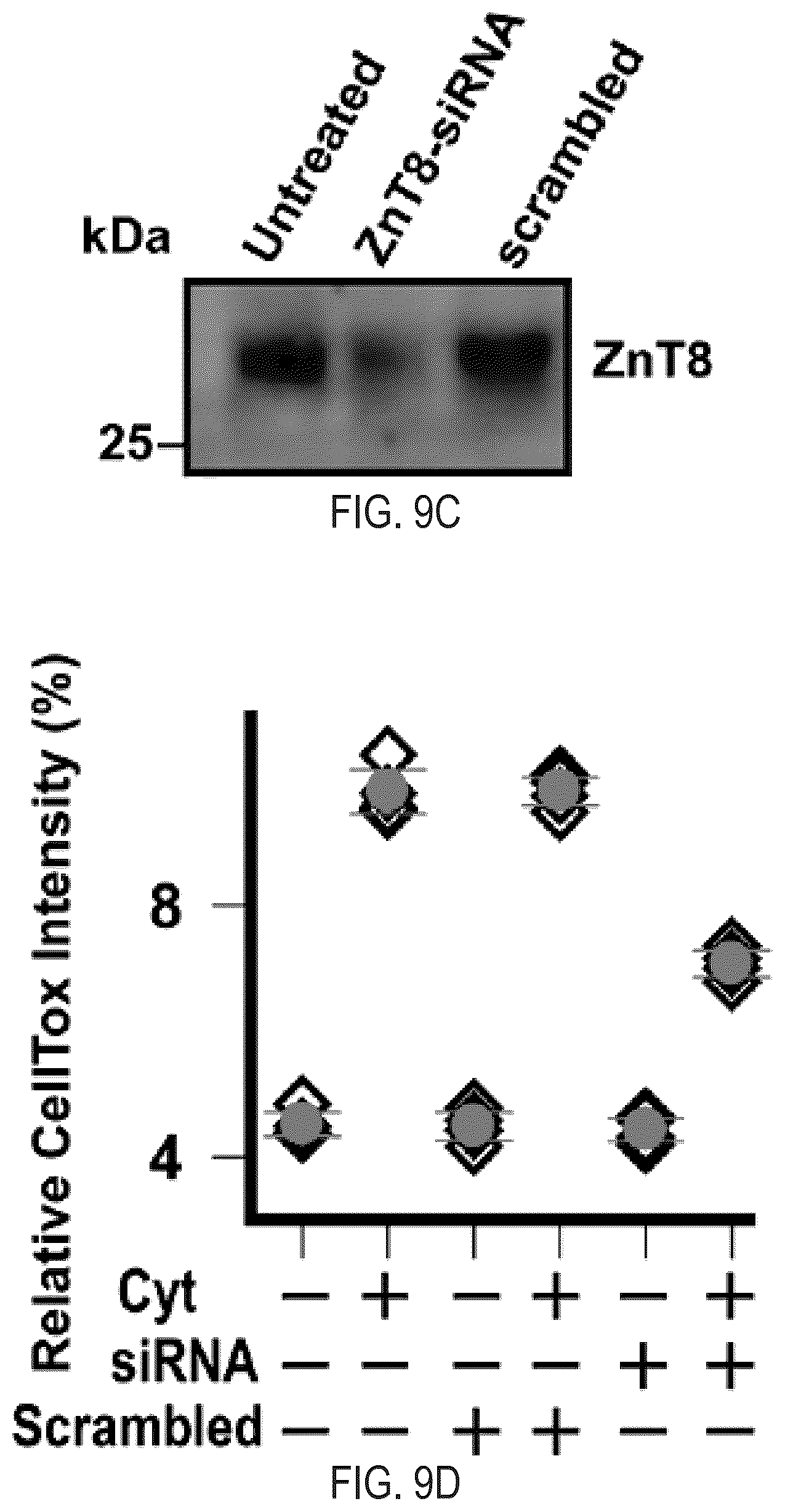 Patent US12366570 Figure 15 – Cell-based ZNT8 assay