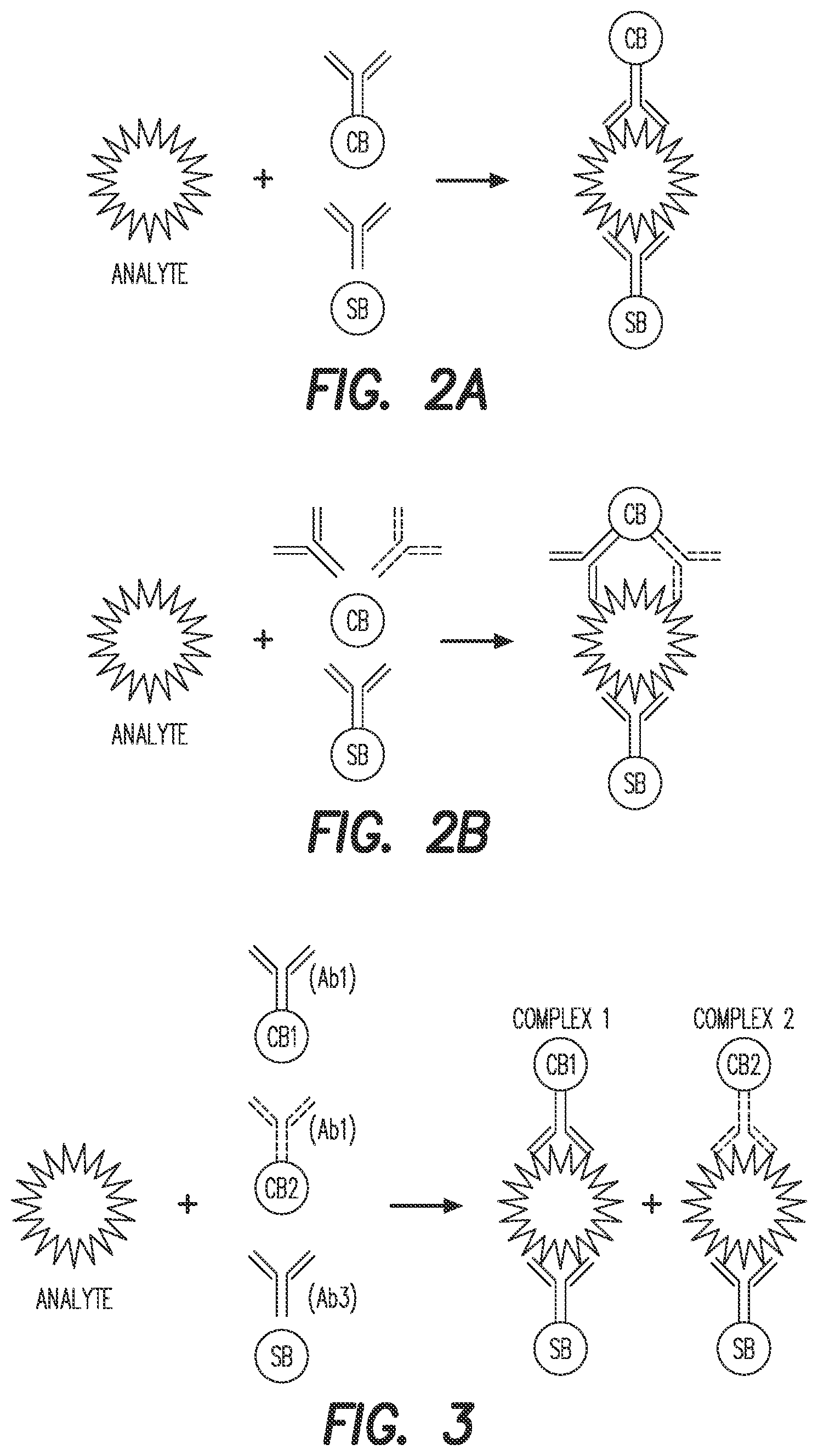 Patent US12366571 Figure 2 – Luminescent oxygen channeling immunoassay utilizing three antibodies and methods of production and use thereof