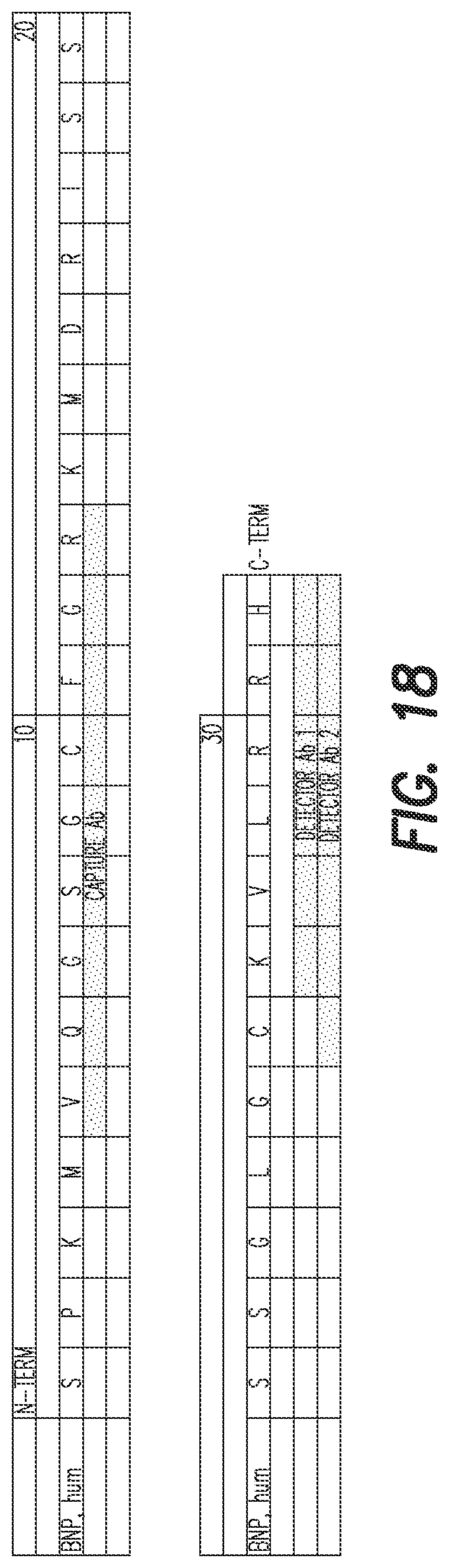 Patent US12366571 Figure 11 – Luminescent oxygen channeling immunoassay utilizing three antibodies and methods of production and use thereof