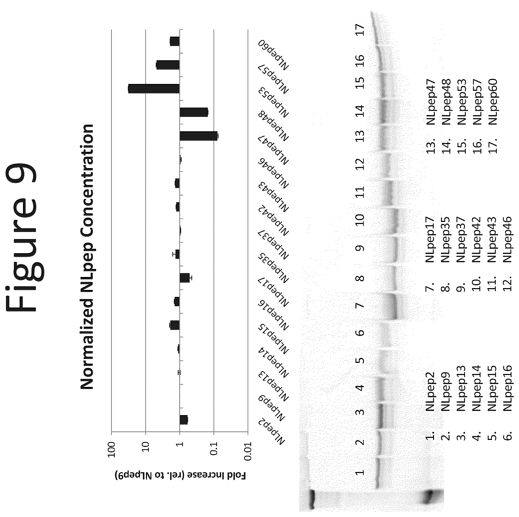 Patent US12366572 Figure 9 – Activation of bioluminescence by structural complementation