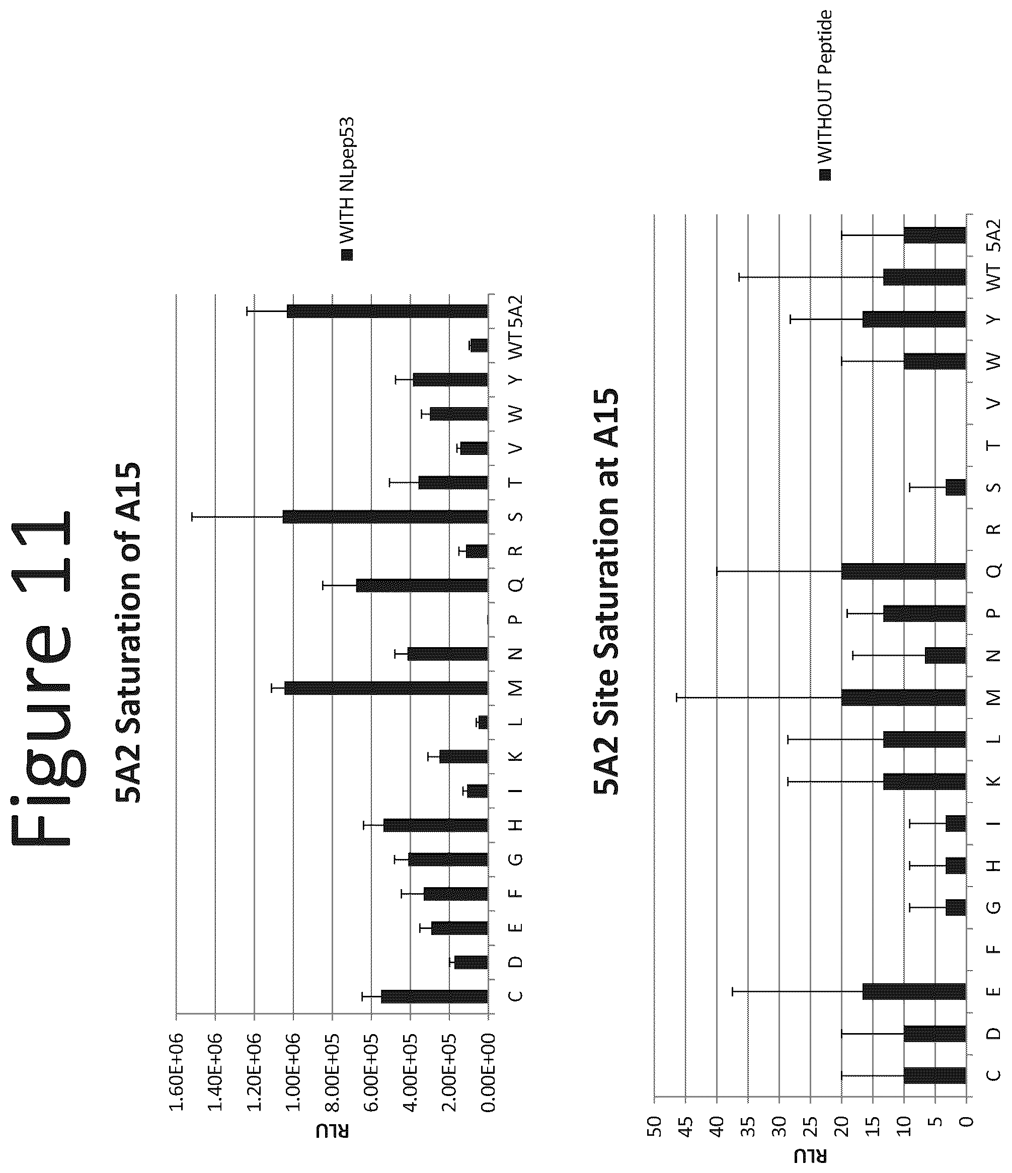 Patent US12366572 Figure 11 – Activation of bioluminescence by structural complementation