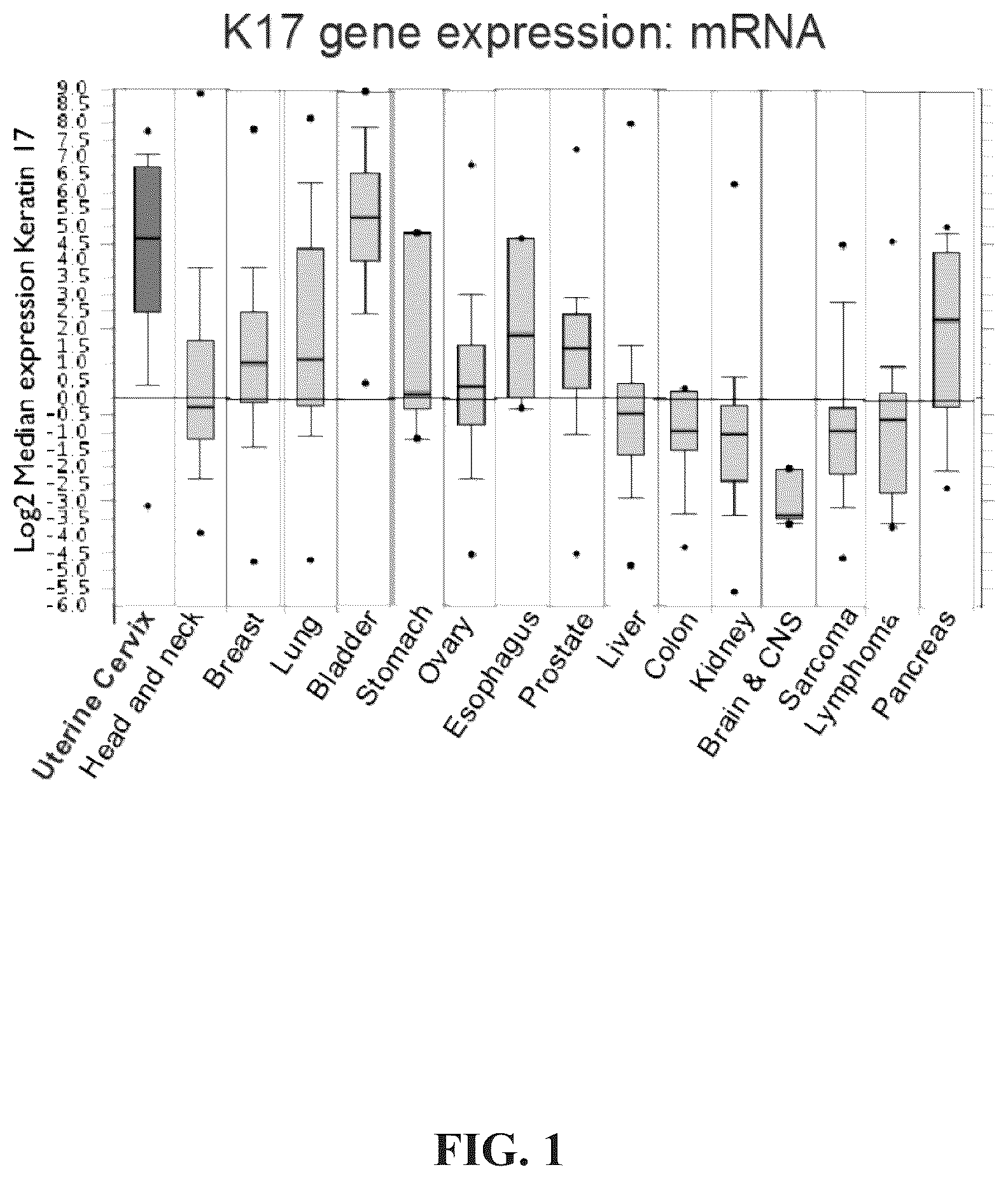 Patent US12366574 — Keratin 17 as a biomarker for bladder cancer — Figure 1