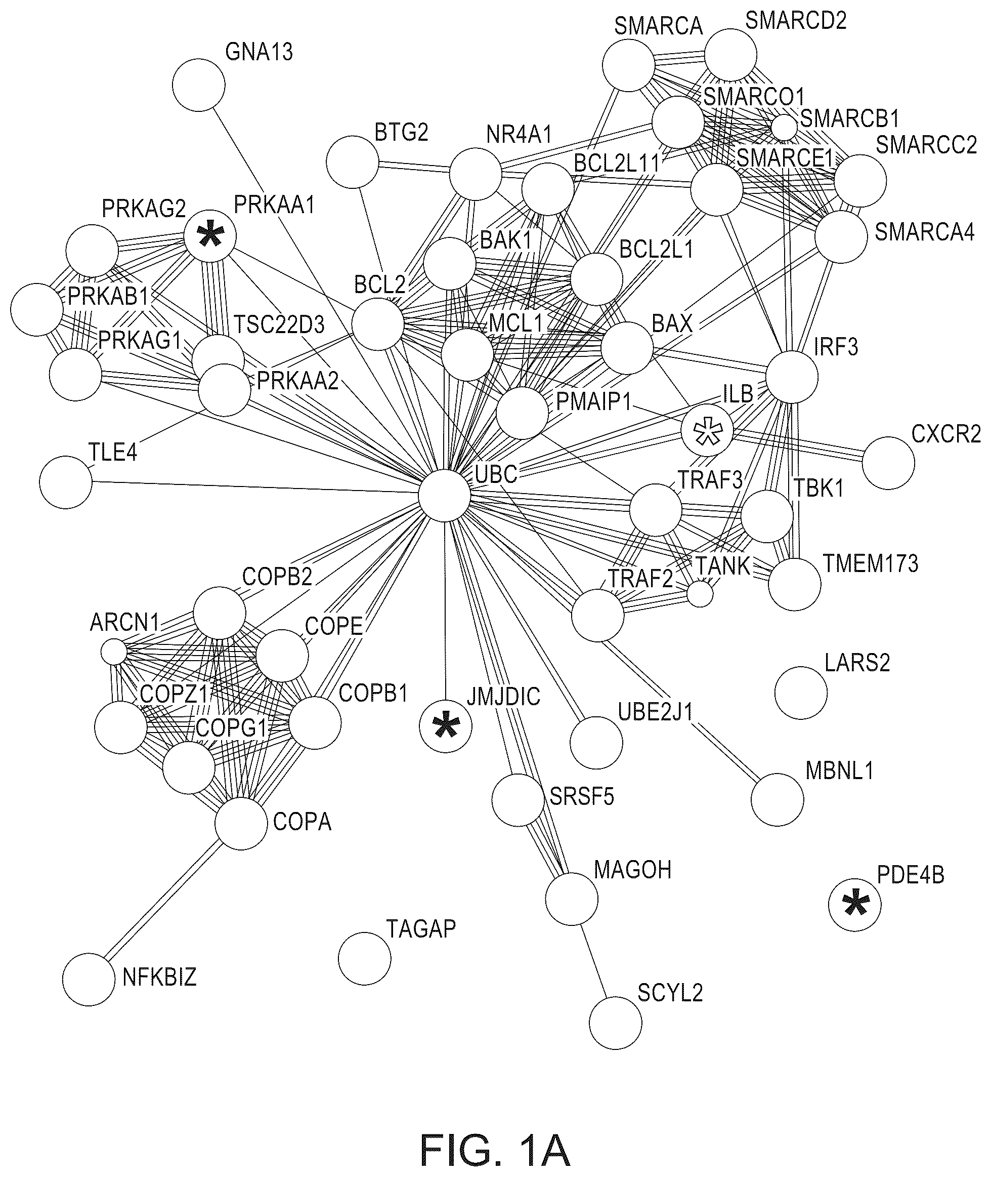 Patent US12366575 Figure 1 – Chemical compositions and methods of use