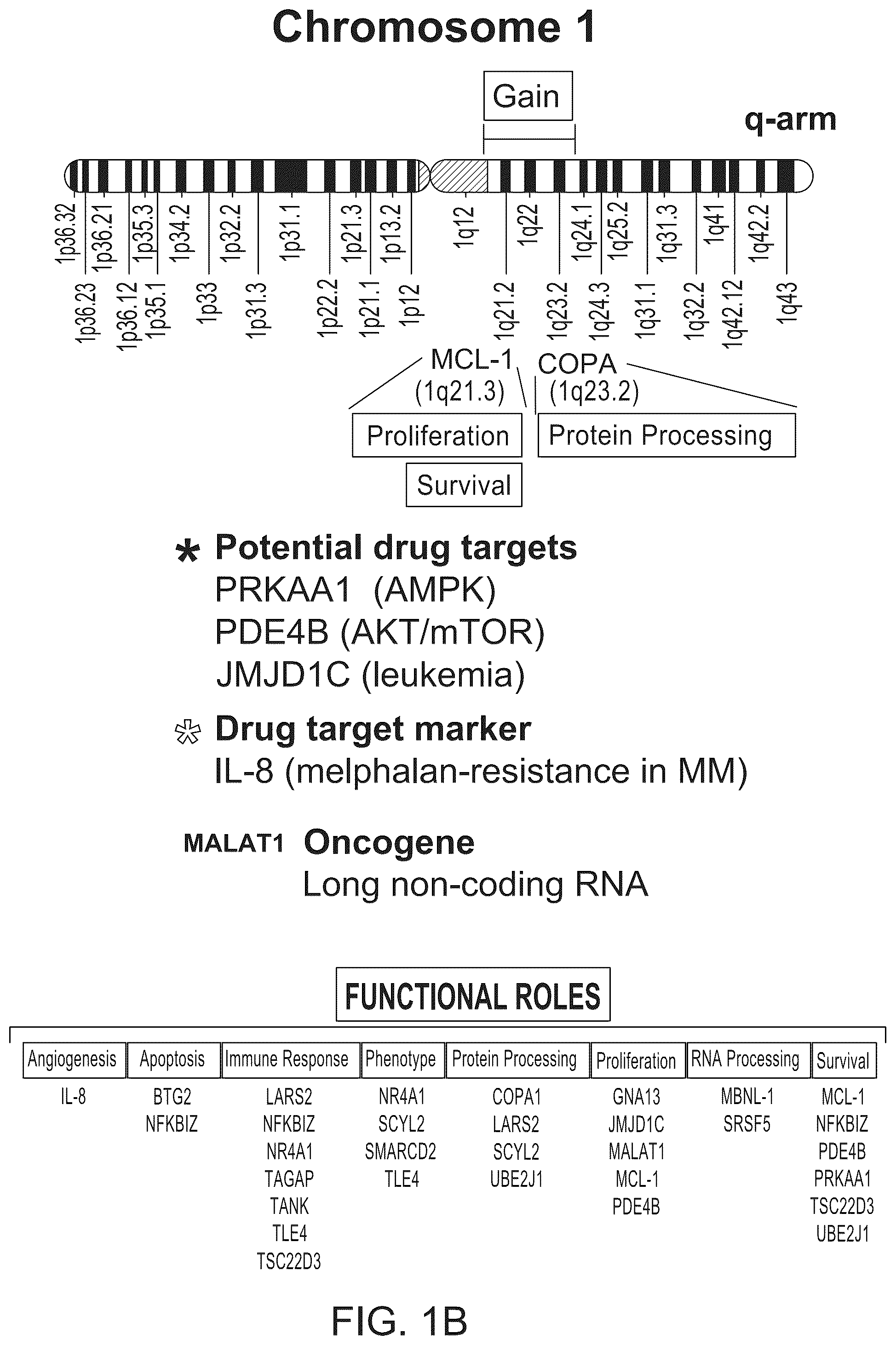 Patent US12366575 Figure 2 – Chemical compositions and methods of use