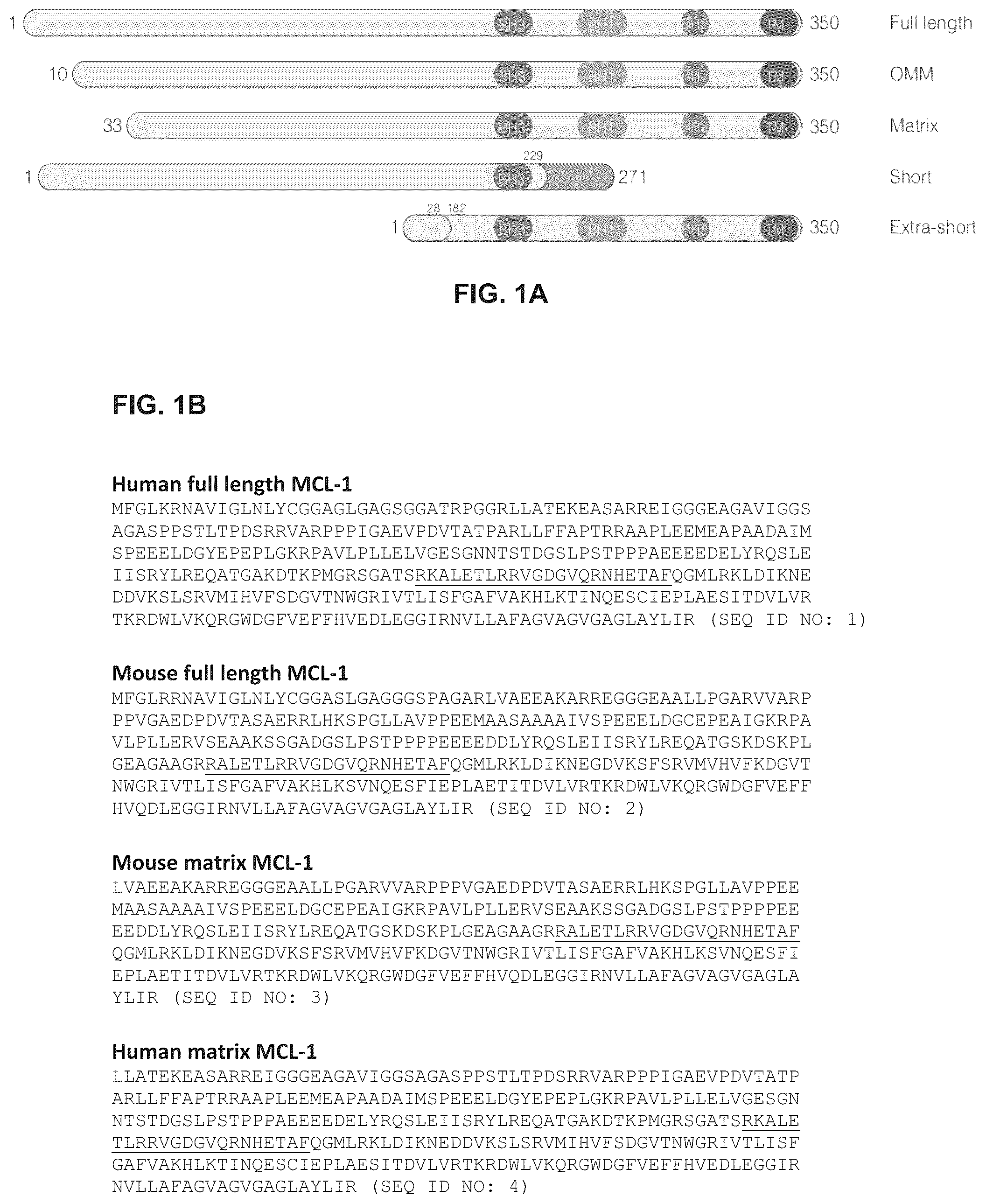 Patent US12366576 Figure 1 – Compositions, assays, and methods for direct modulation of fatty acid metabolism