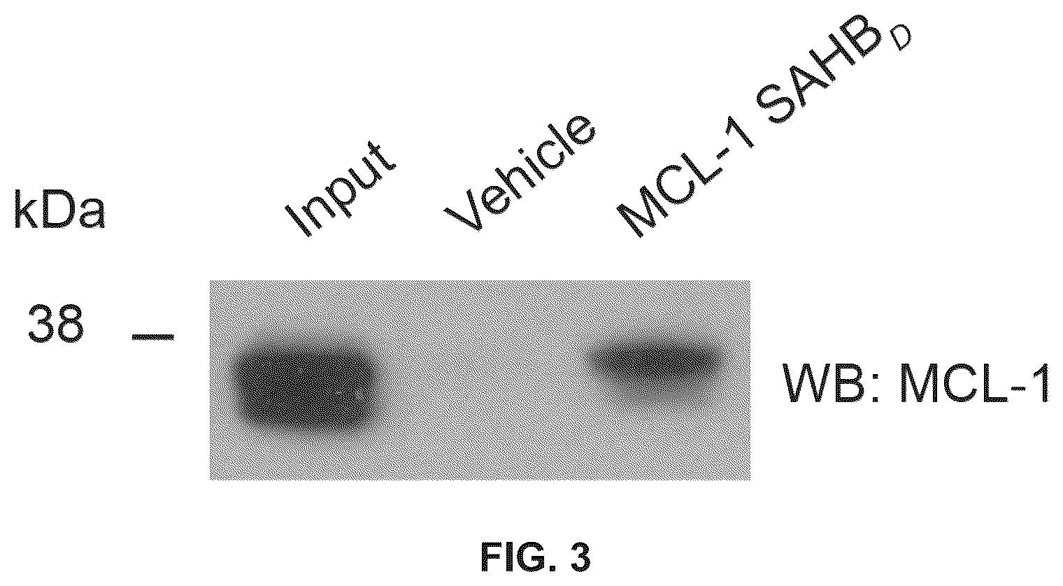 Patent US12366576 Figure 3 – Compositions, assays, and methods for direct modulation of fatty acid metabolism