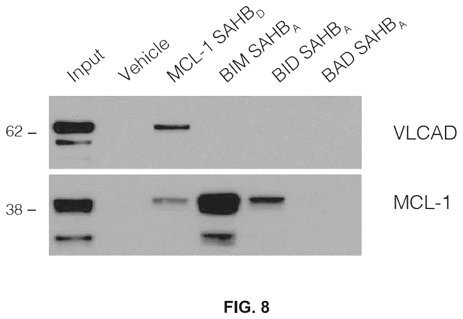Patent US12366576 Figure 9 – Compositions, assays, and methods for direct modulation of fatty acid metabolism