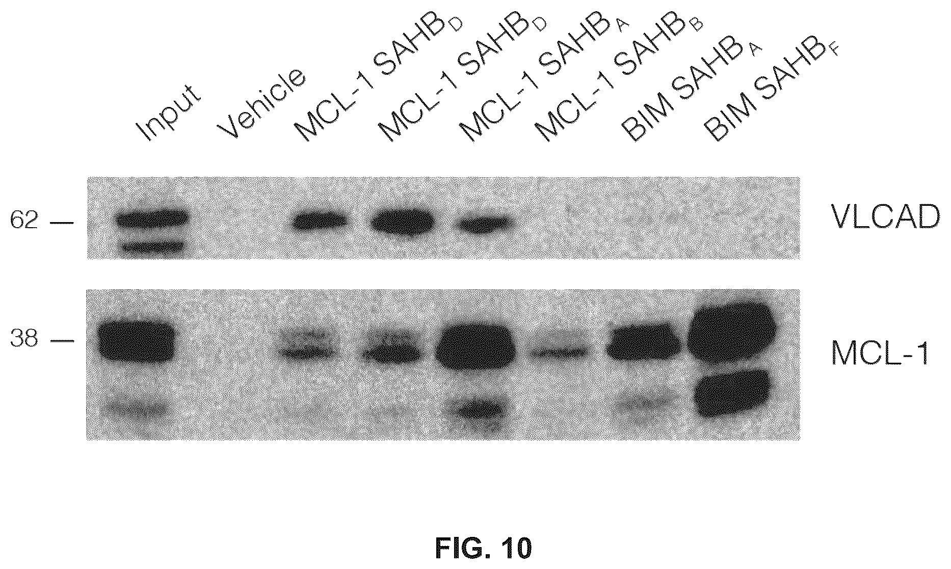 Patent US12366576 Figure 11 – Compositions, assays, and methods for direct modulation of fatty acid metabolism