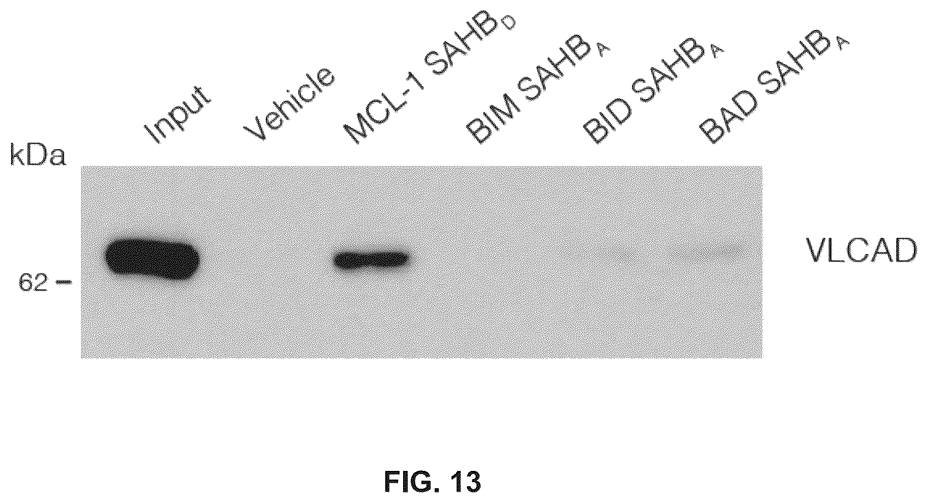 Patent US12366576 Figure 14 – Compositions, assays, and methods for direct modulation of fatty acid metabolism