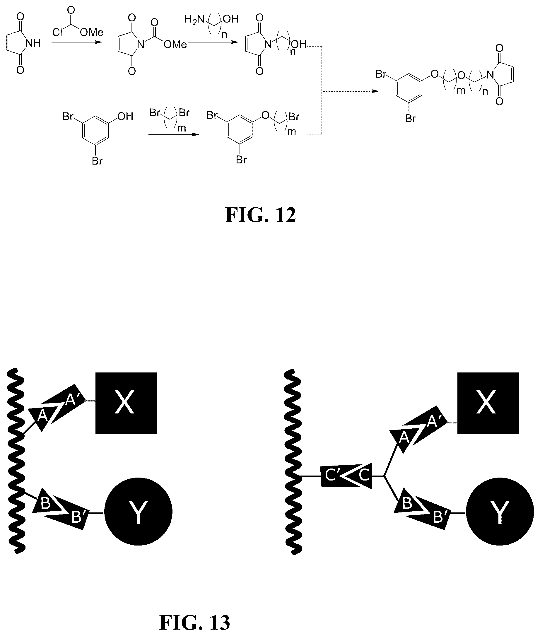 Patent US12366577 Figure 6 – Fluorescent methods and materials for directed biomarker signal amplification
