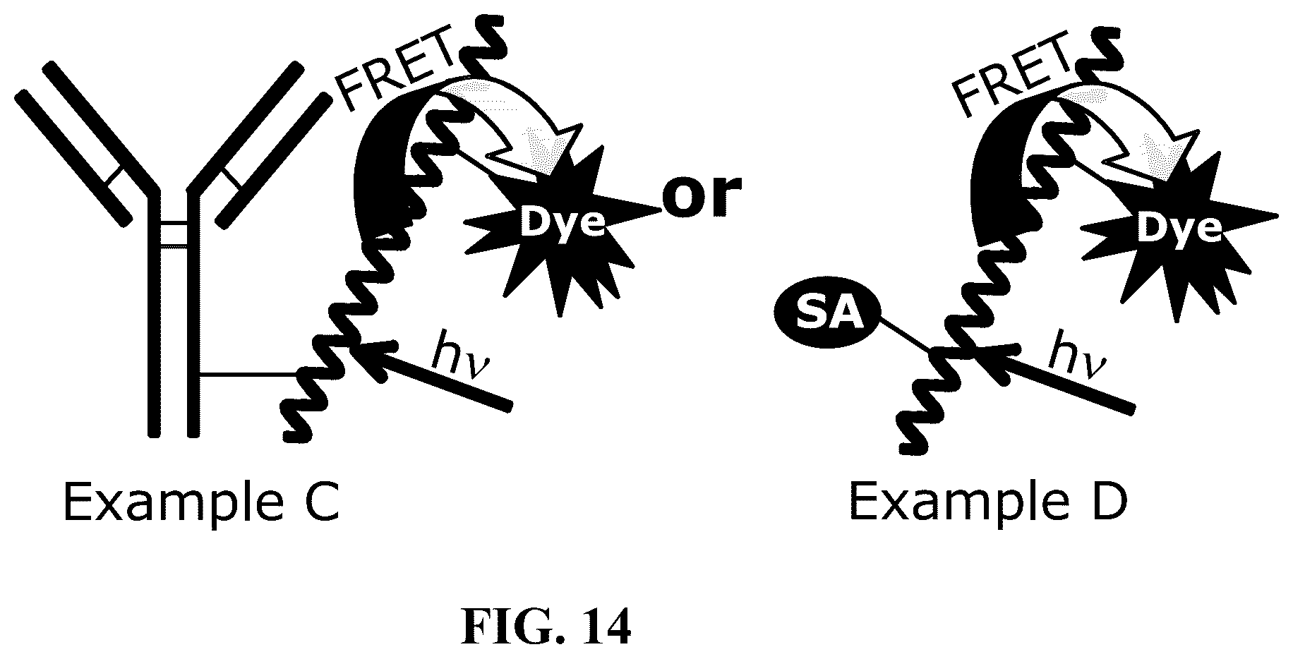 Patent US12366577 Figure 7 – Fluorescent methods and materials for directed biomarker signal amplification