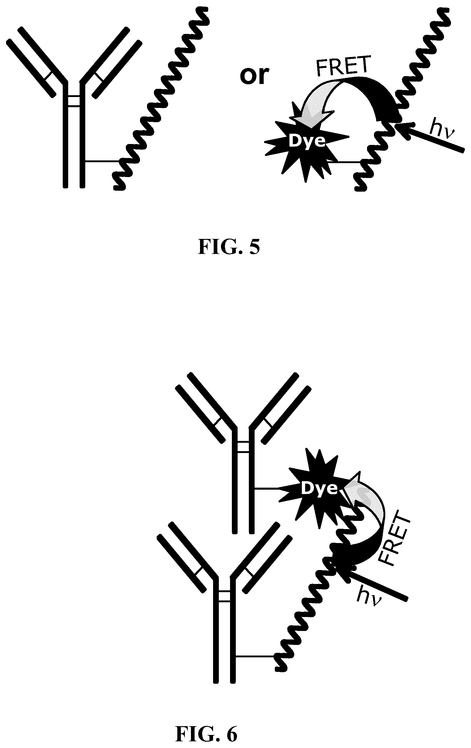 Patent US12366578 Figure 3 – Fluorescent methods and materials for directed biomarker signal amplification
