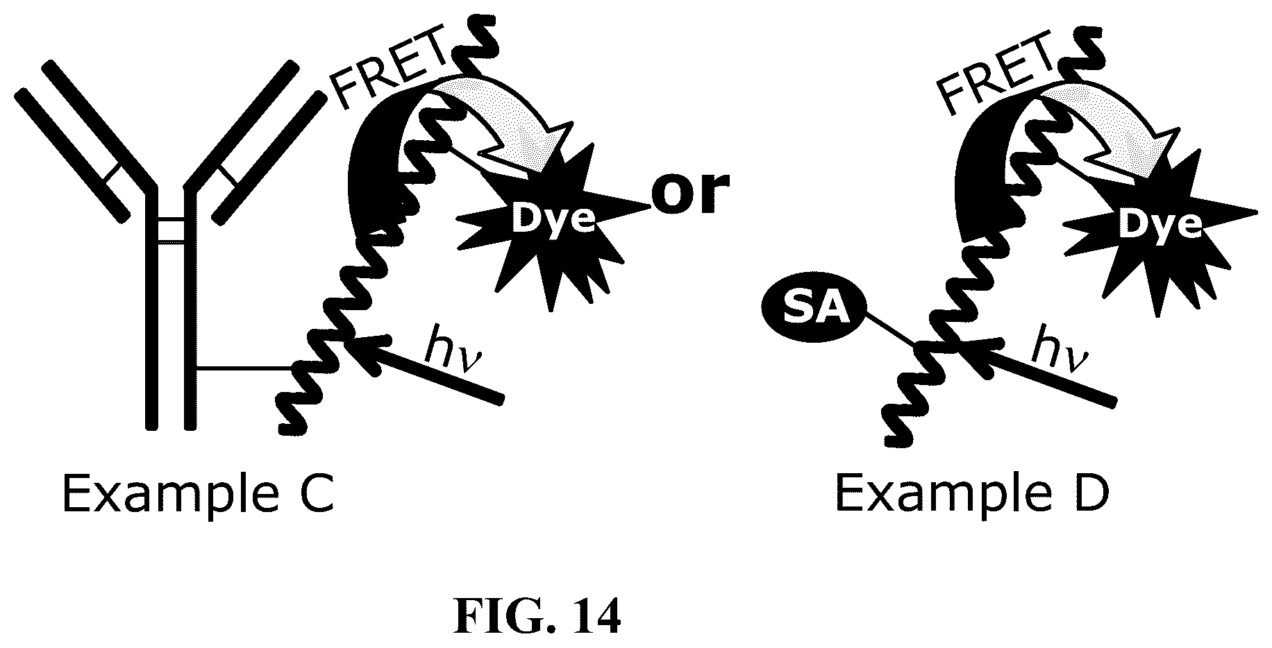 Patent US12366578 Figure 7 – Fluorescent methods and materials for directed biomarker signal amplification
