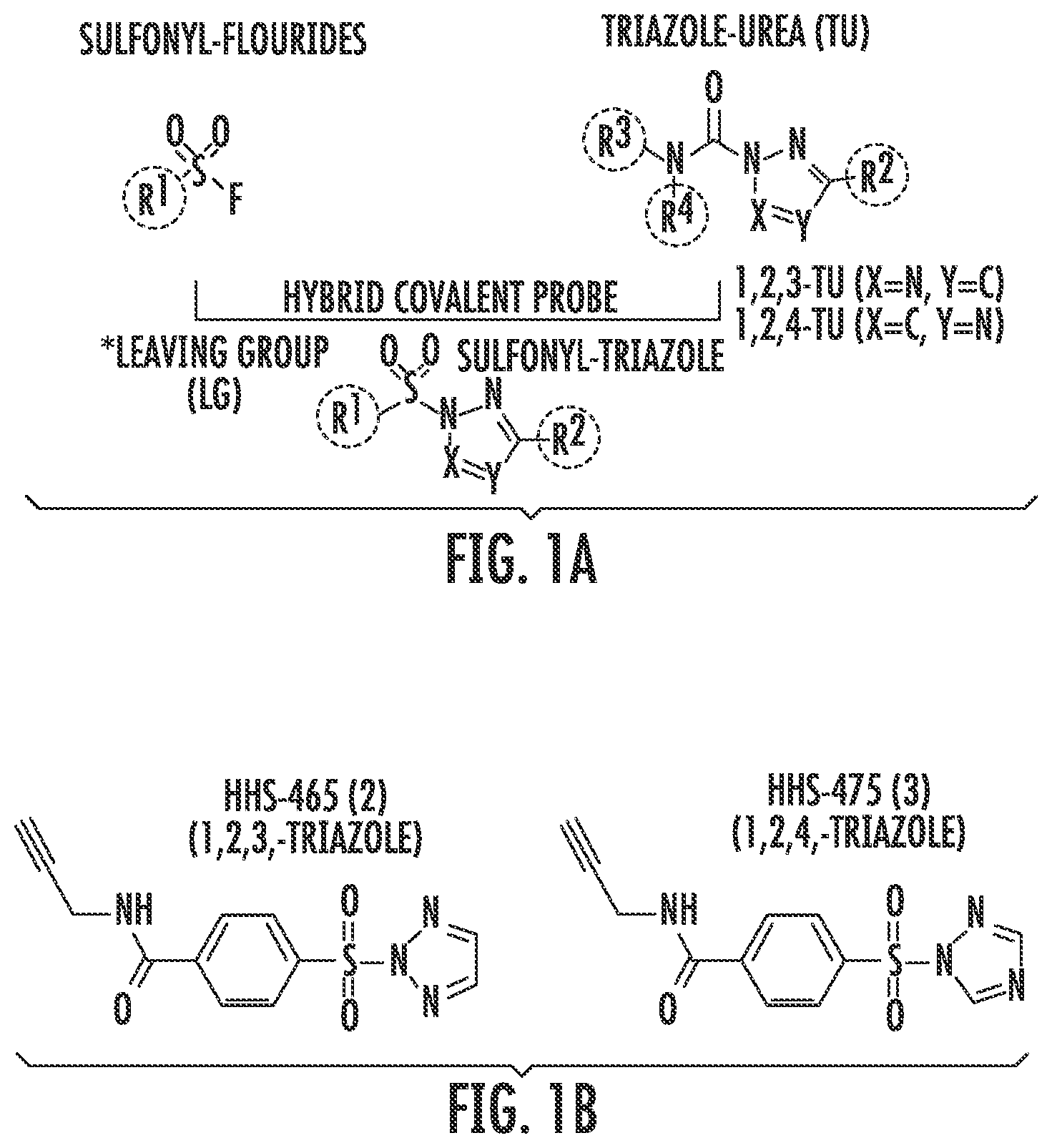 Patent US12366579 Figure 1 – Sulfur-heterocycle exchange chemistry and uses thereof