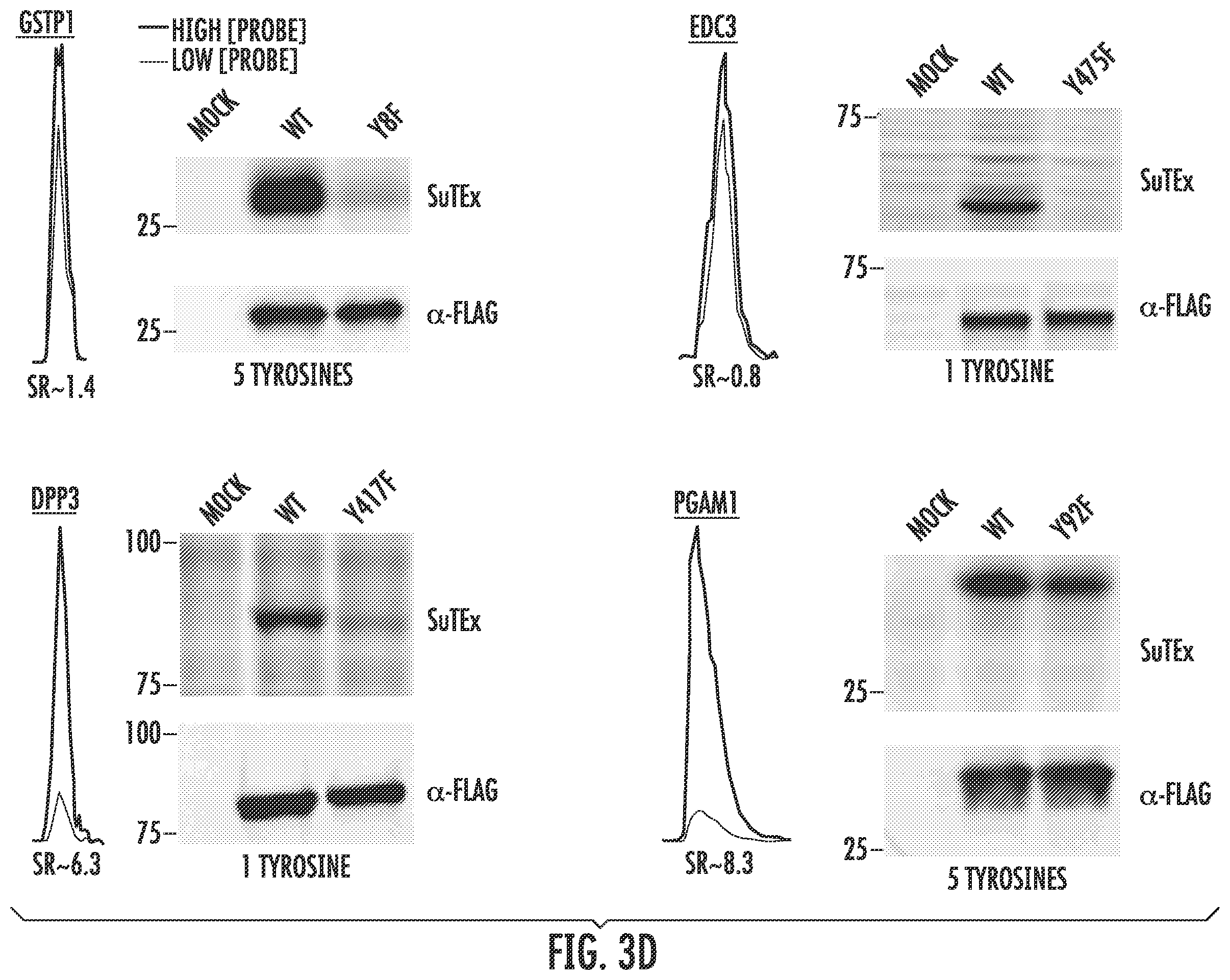 Patent US12366579 Figure 7 – Sulfur-heterocycle exchange chemistry and uses thereof