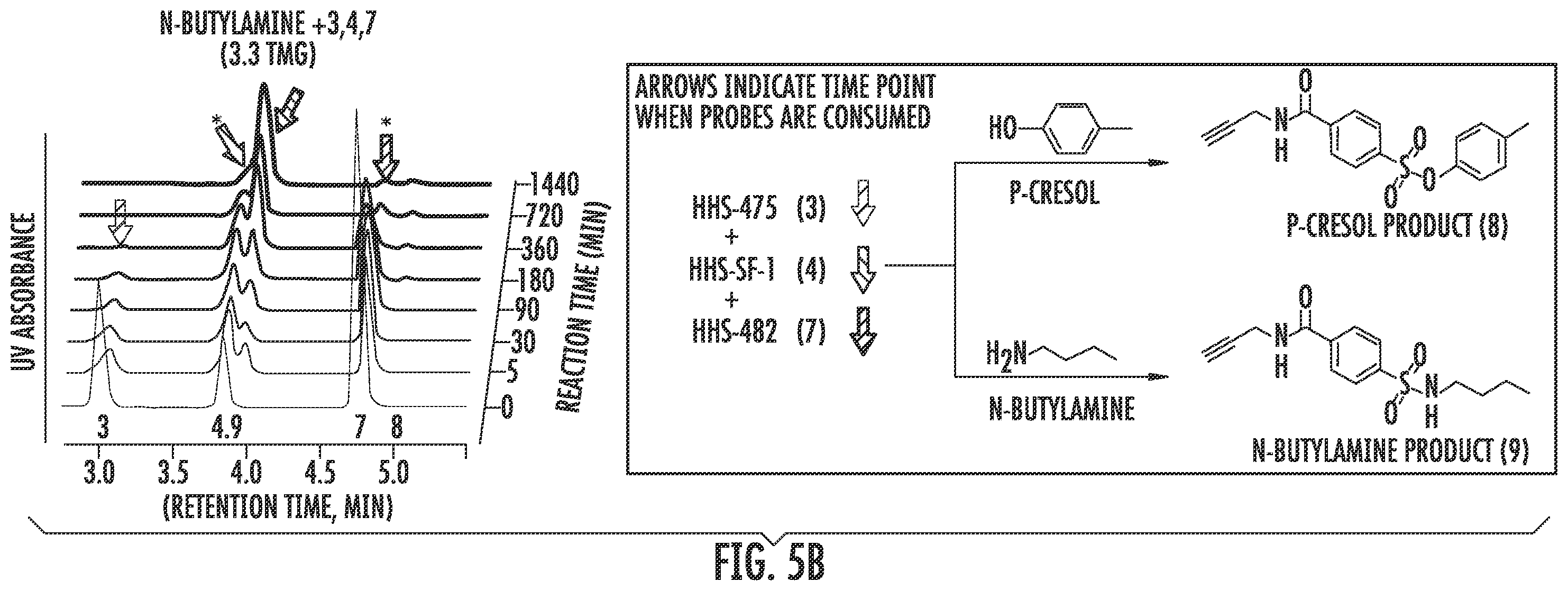 Patent US12366579 Figure 11 – Sulfur-heterocycle exchange chemistry and uses thereof