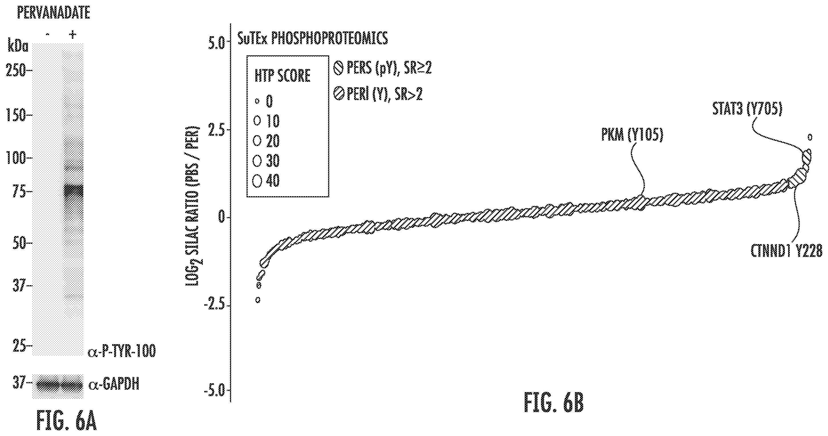 Patent US12366579 Figure 12 – Sulfur-heterocycle exchange chemistry and uses thereof