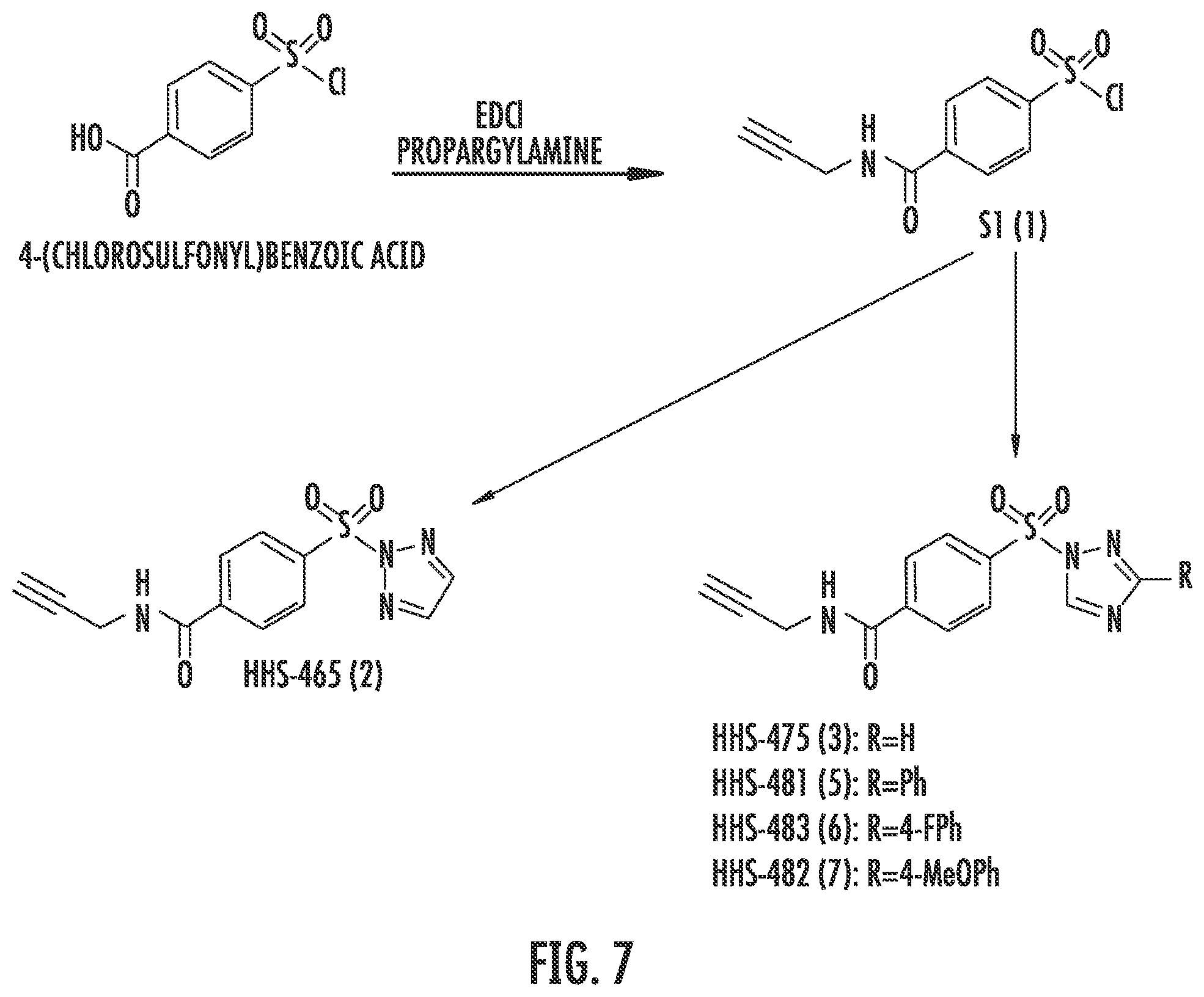 Patent US12366579 Figure 14 – Sulfur-heterocycle exchange chemistry and uses thereof