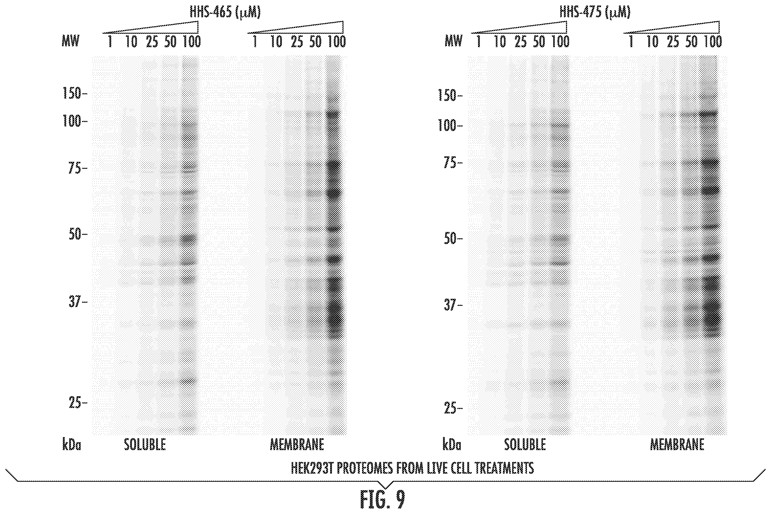 Patent US12366579 Figure 16 – Sulfur-heterocycle exchange chemistry and uses thereof
