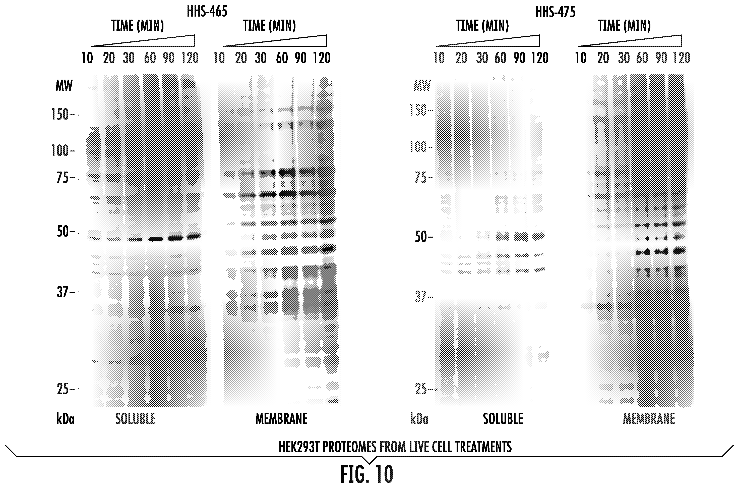Patent US12366579 Figure 17 – Sulfur-heterocycle exchange chemistry and uses thereof