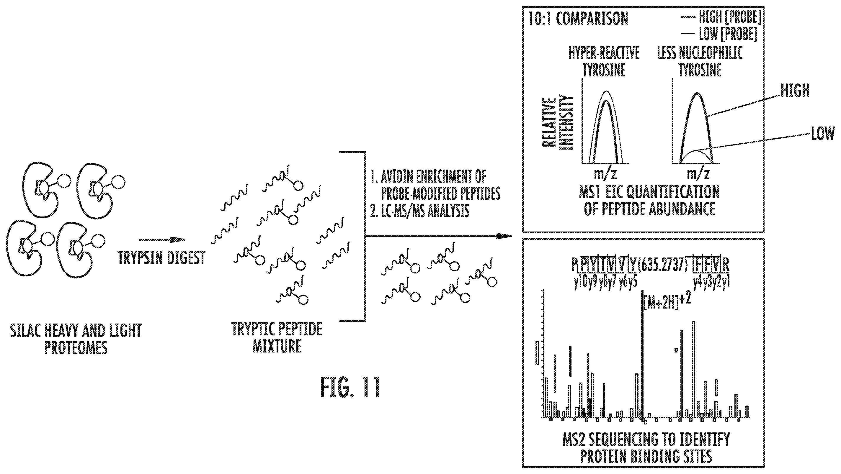 Patent US12366579 Figure 18 – Sulfur-heterocycle exchange chemistry and uses thereof