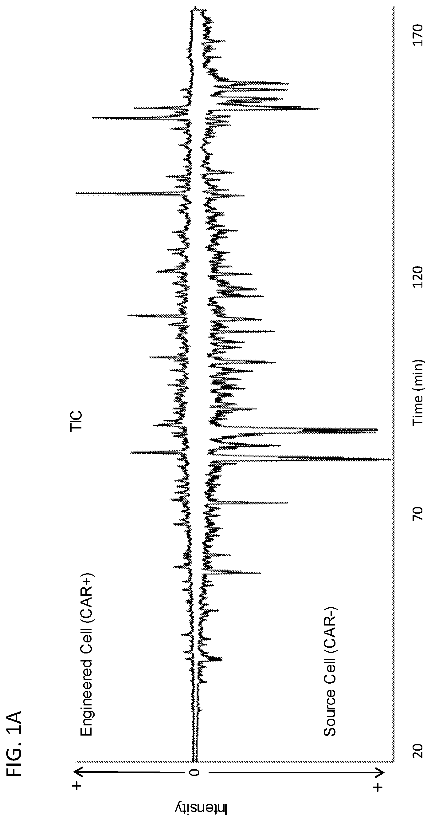 Patent US12366580 Figure 1 – Methods for mass spectrometry analysis of engineered cell compositions