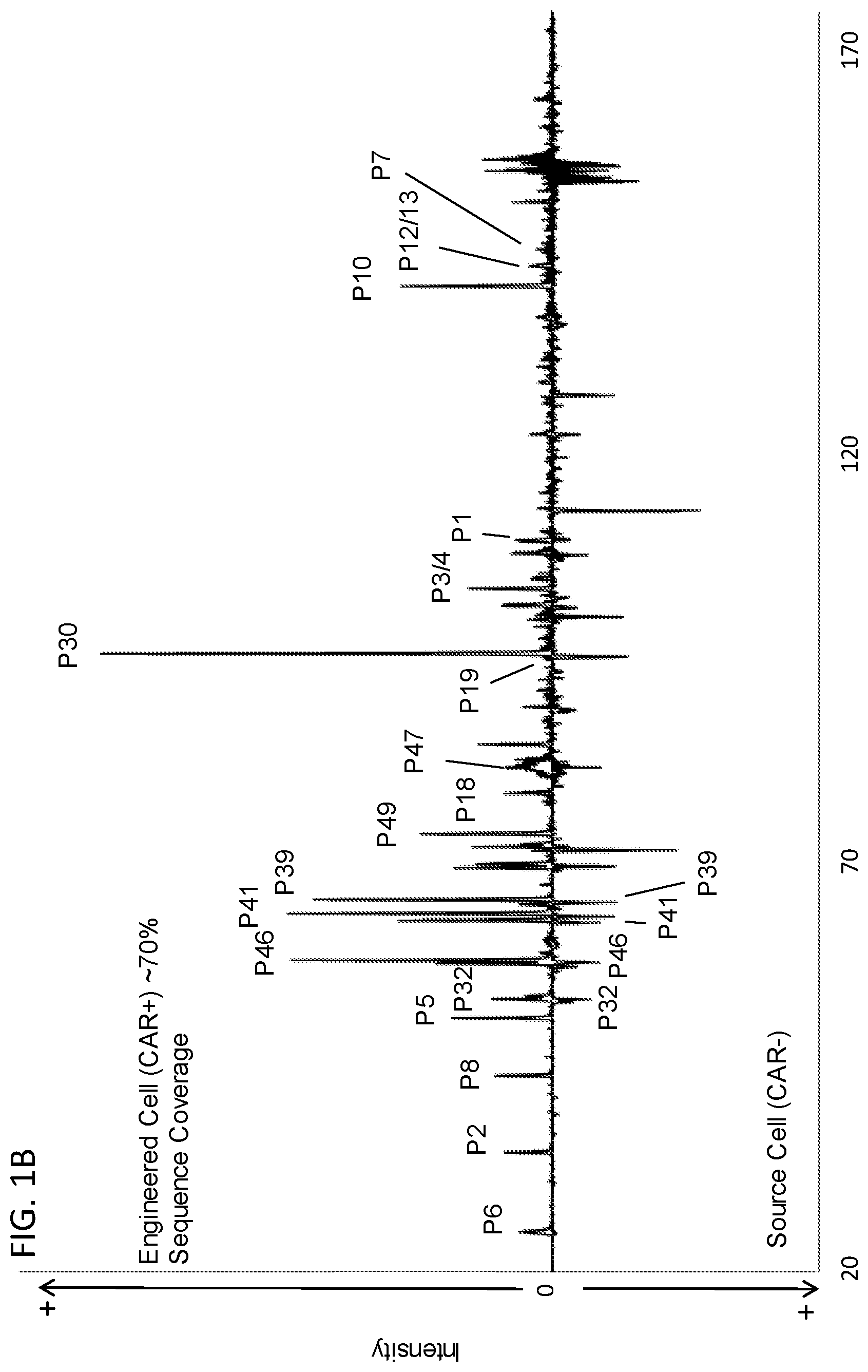 Patent US12366580 Figure 2 – Methods for mass spectrometry analysis of engineered cell compositions