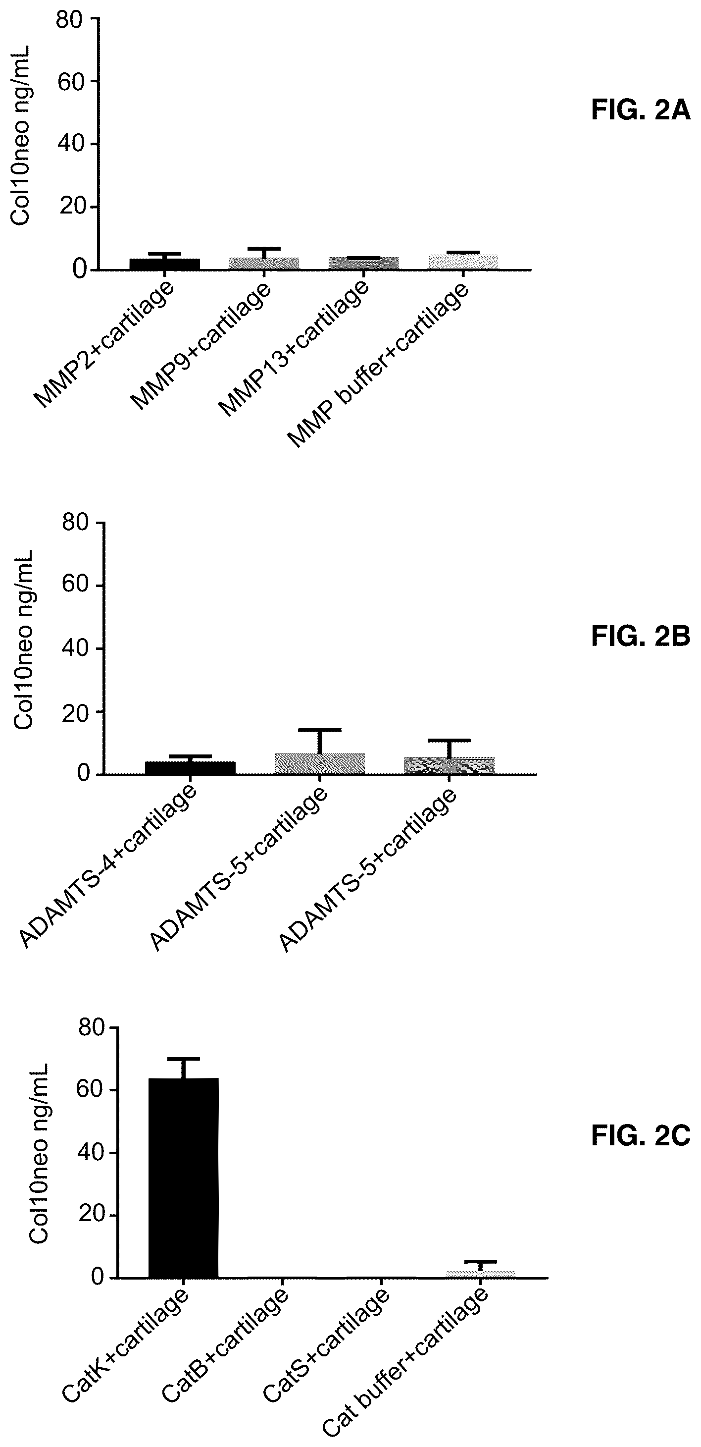 Patent US12366582 Figure 2 – Collagen type X alpha-1 assay