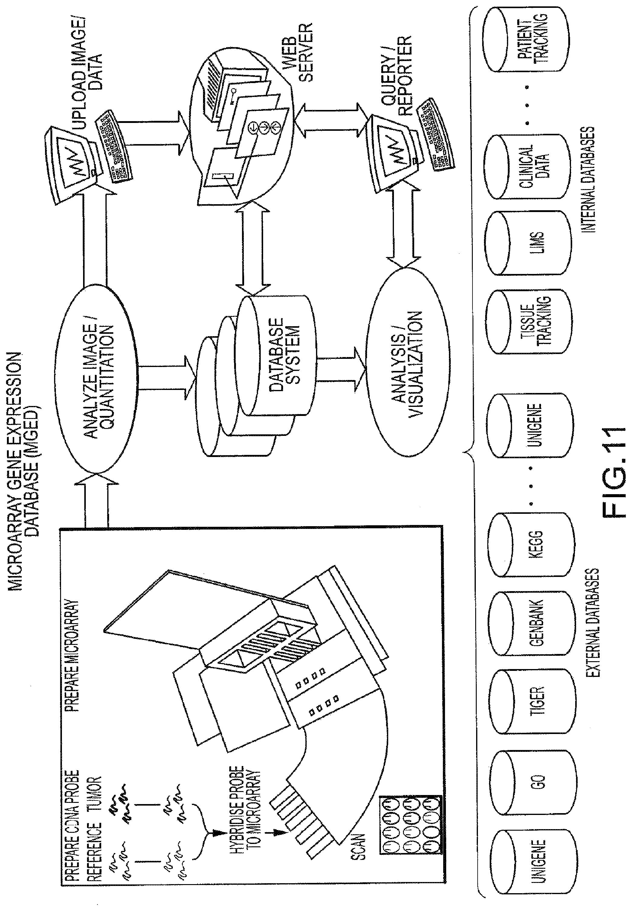 Patent US12366585 Figure 14 – Molecular profiling of tumors
