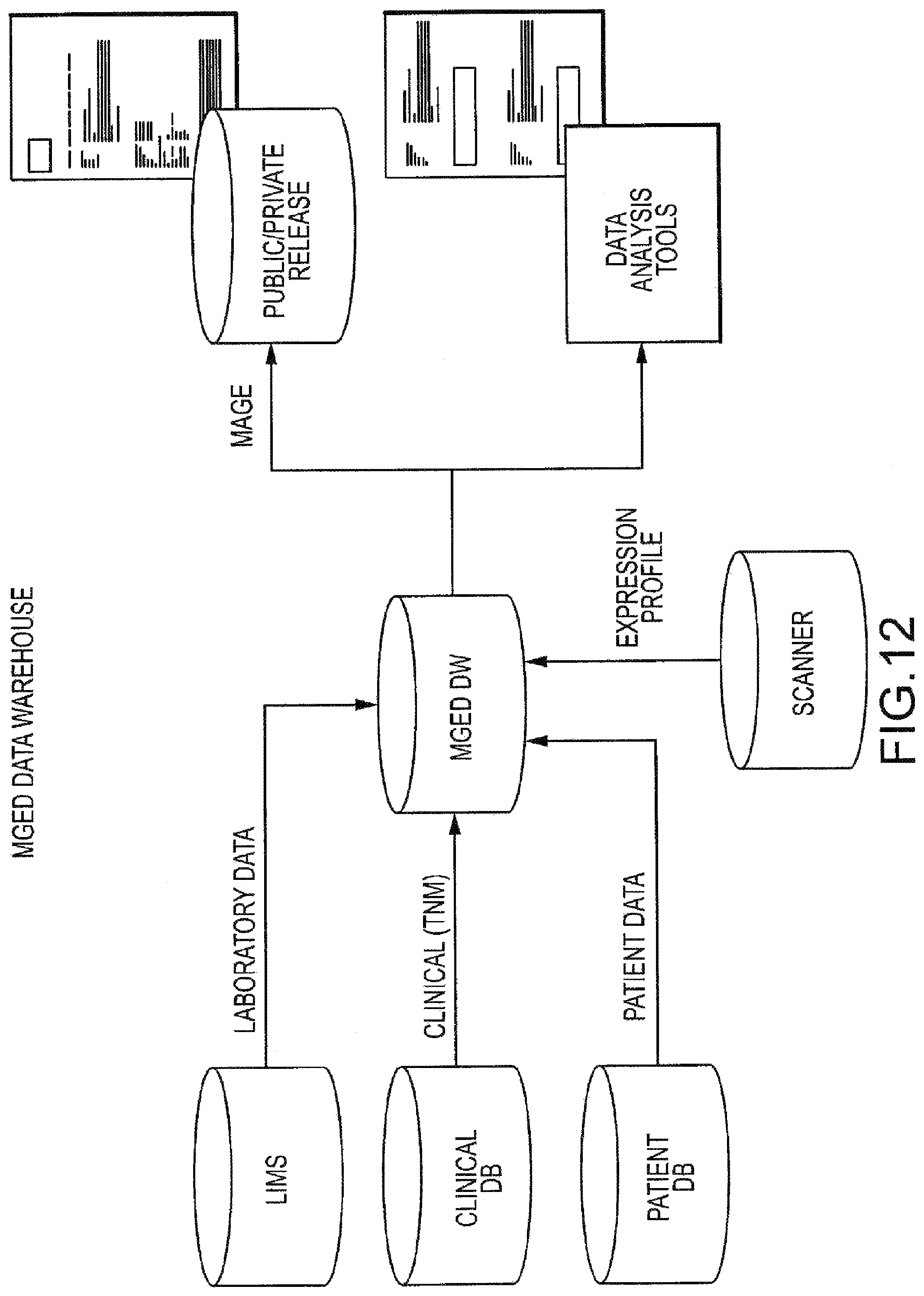 Patent US12366585 Figure 15 – Molecular profiling of tumors