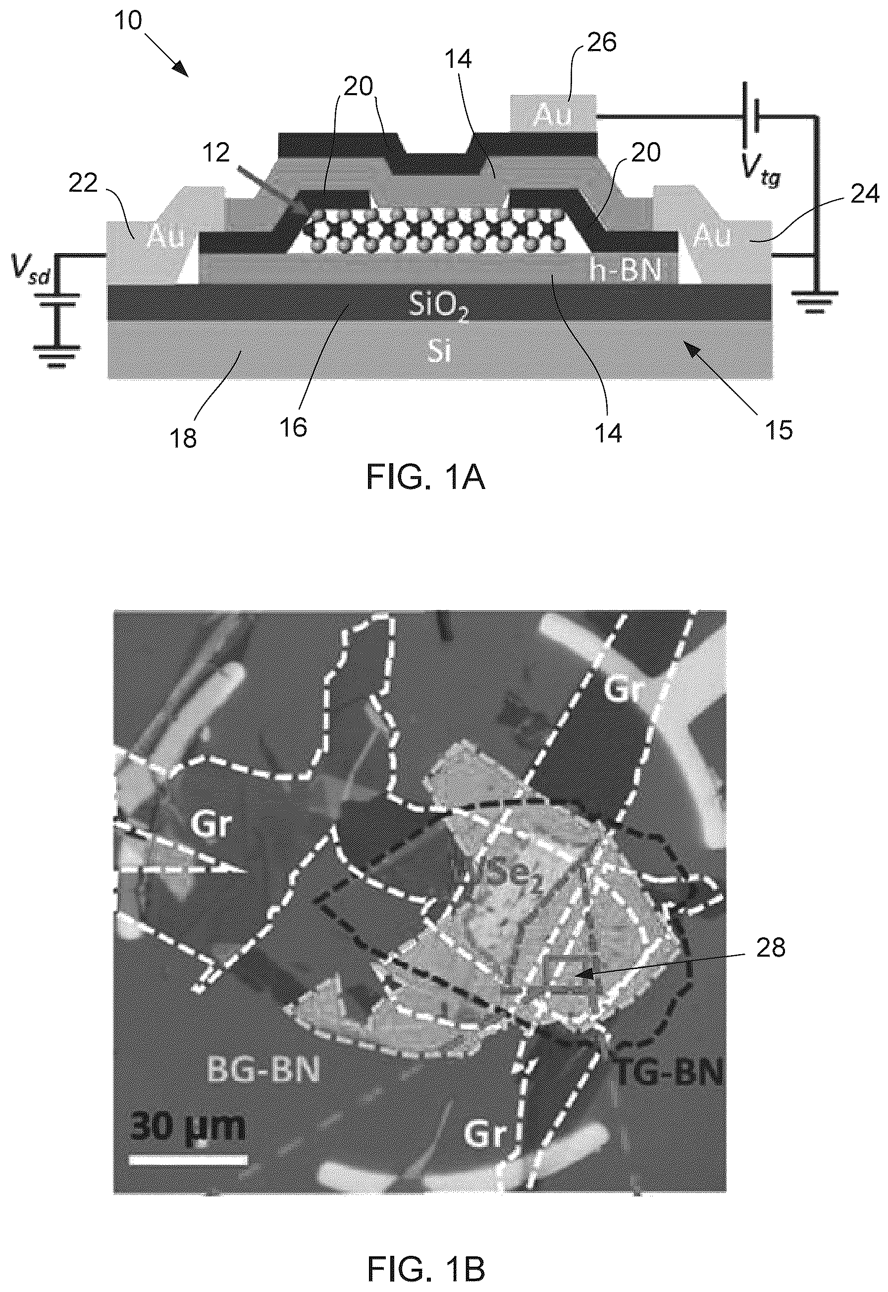 Patent US12366617 Figure 1 – Monolayer transition metal dichalcogenides having giant valley-polarized Rydberg excitons revealed by magneto-photocurrent spectroscopy