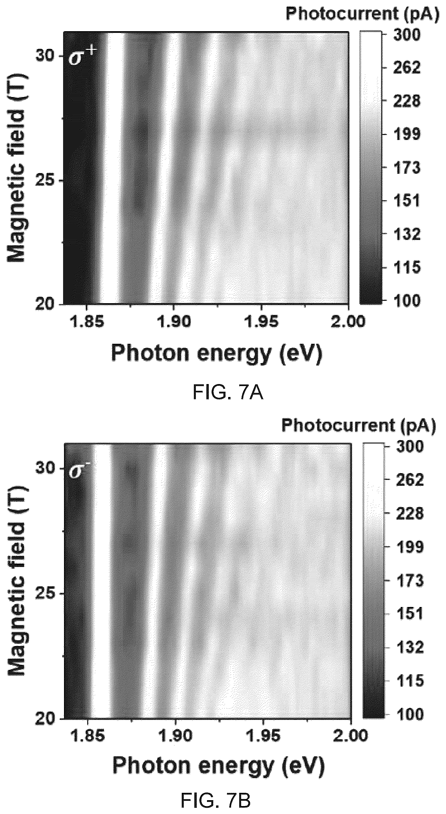 Patent US12366617 Figure 10 – Monolayer transition metal dichalcogenides having giant valley-polarized Rydberg excitons revealed by magneto-photocurrent spectroscopy