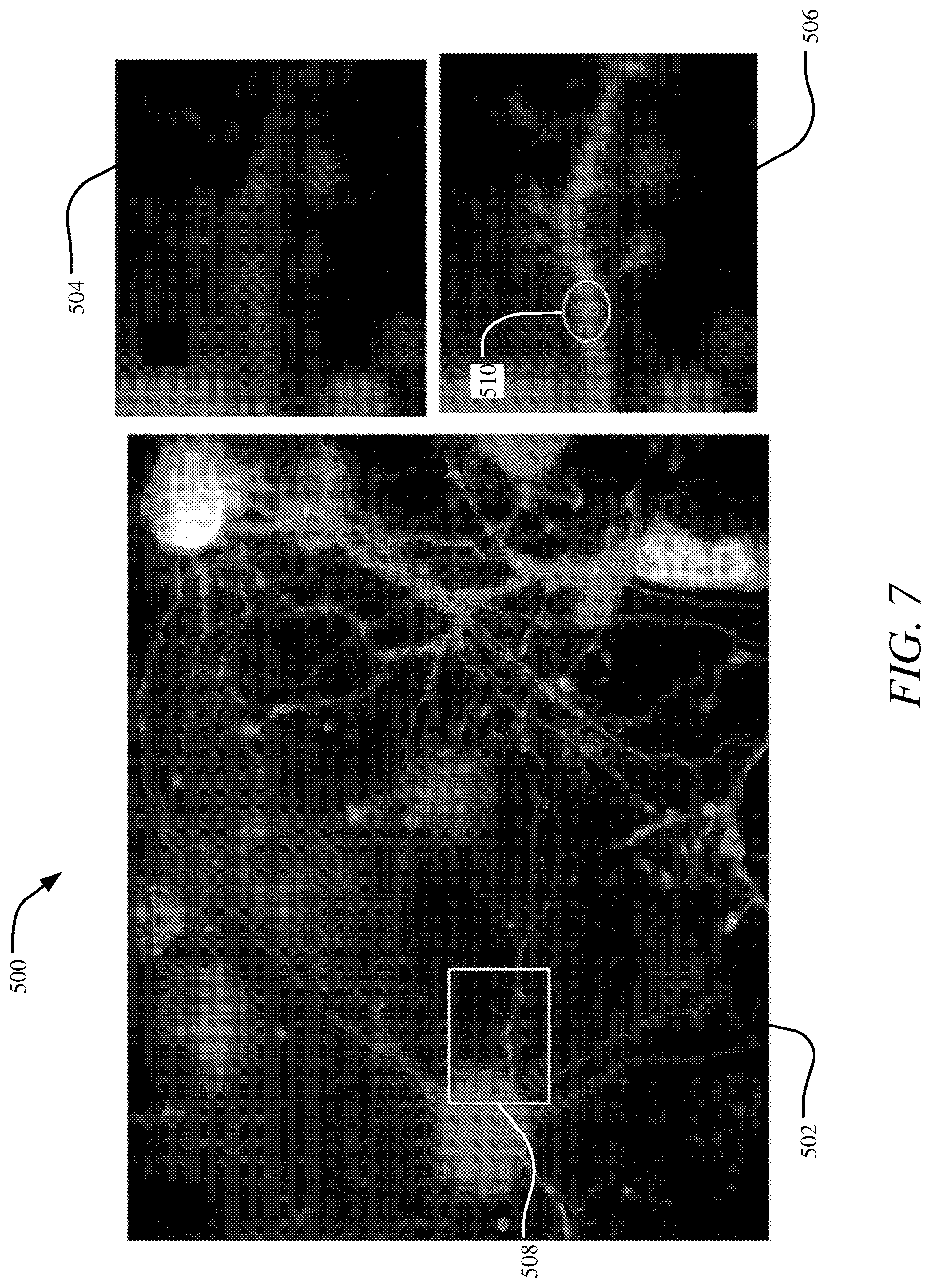 Patent US12366740 Figure 7 – Systems and methods for live projection imaging for fluorescence microscopy