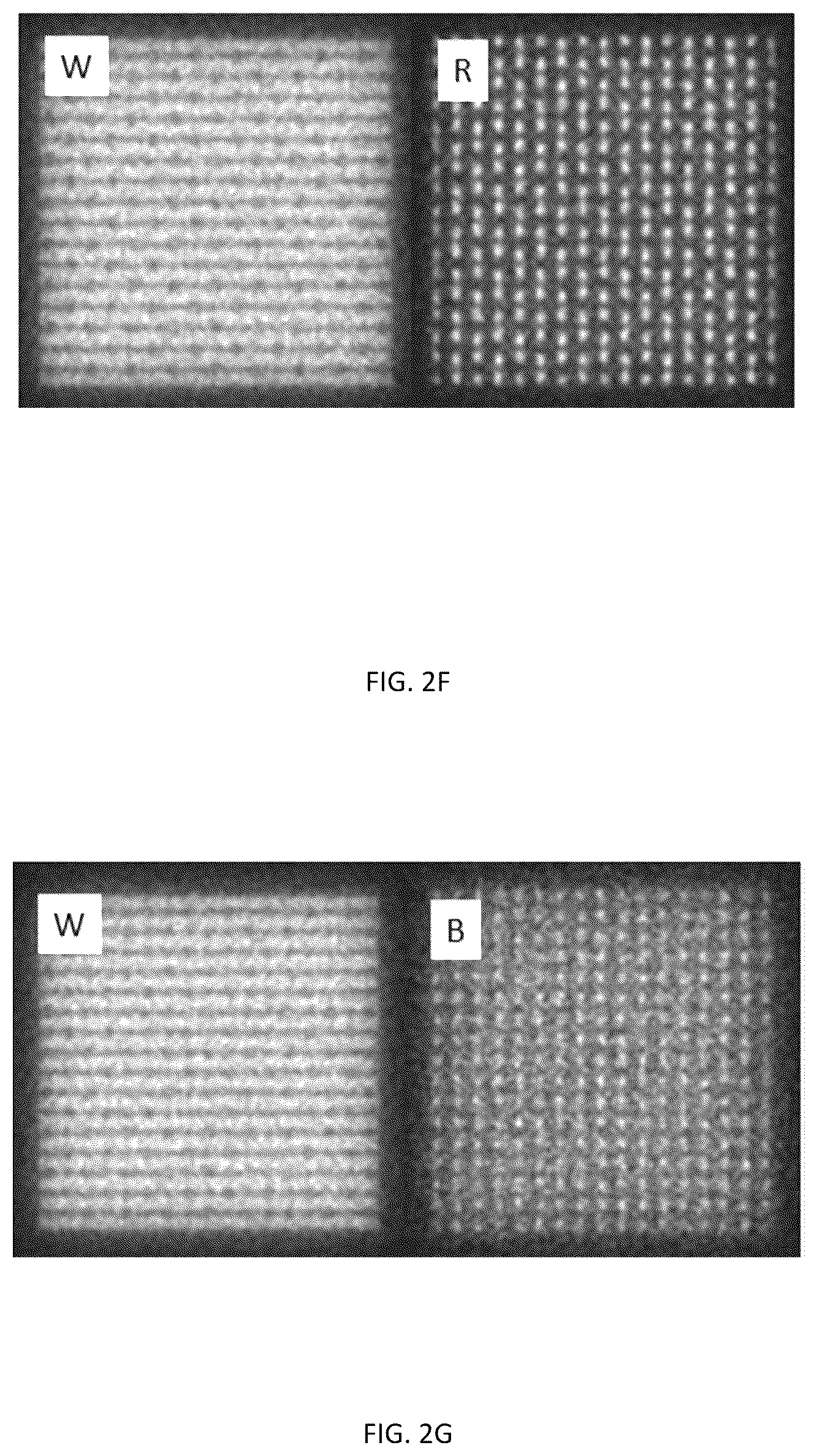 Patent US12366779 Figure 7 – Display panel comprising a blocking structure and a spacer and display apparatus