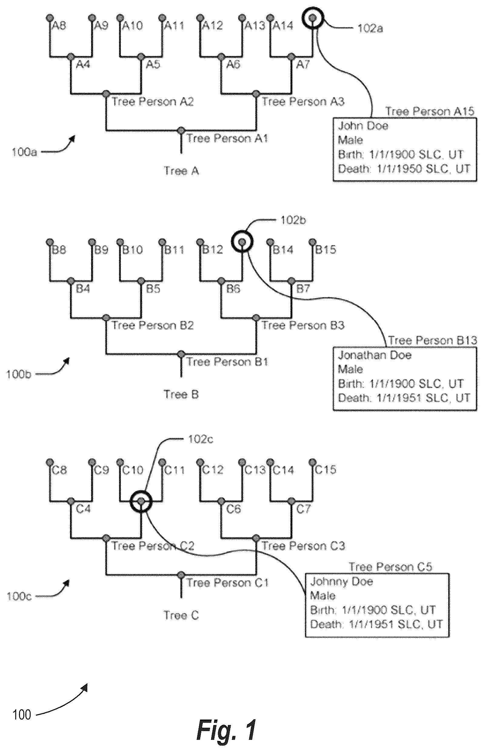 Patent US12367219 — Entity resolution in genealogical databases — Figure 1