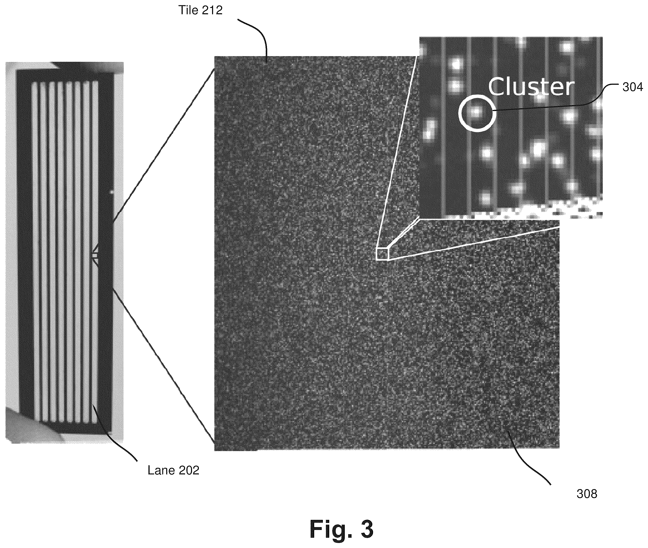 Patent US12367263 Figure 3 – Intensity extraction for feature values in base calling