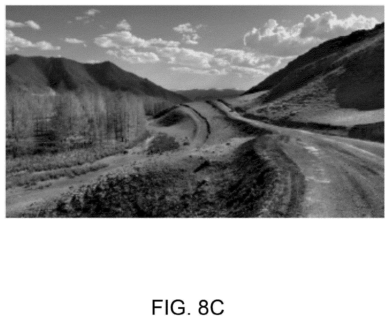 Patent US12367420 Figure 9 – User targeted content generation using multimodal embeddings