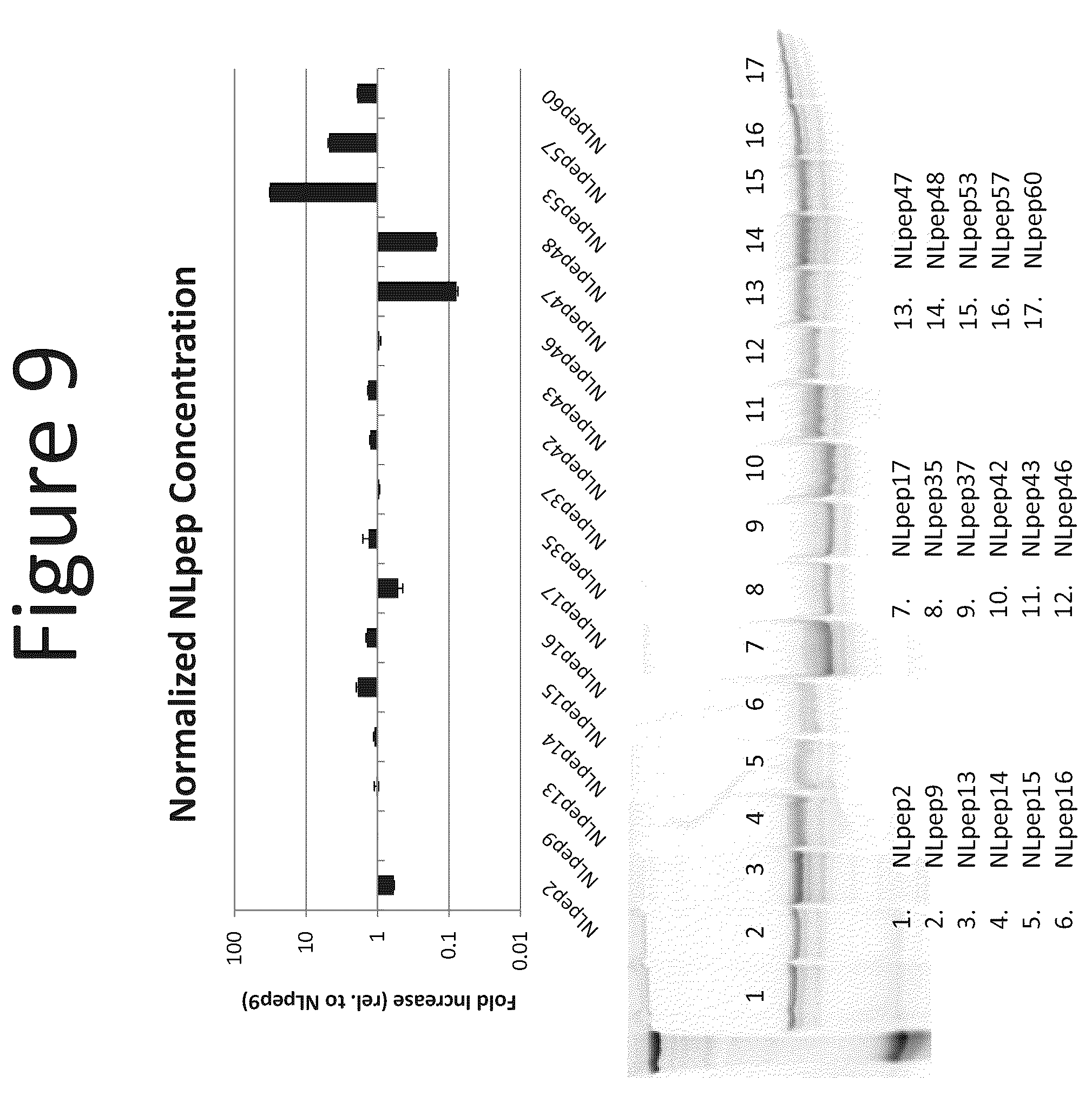 Patent US12367513 Figure 9 – Activation of bioluminescence by structural complementation