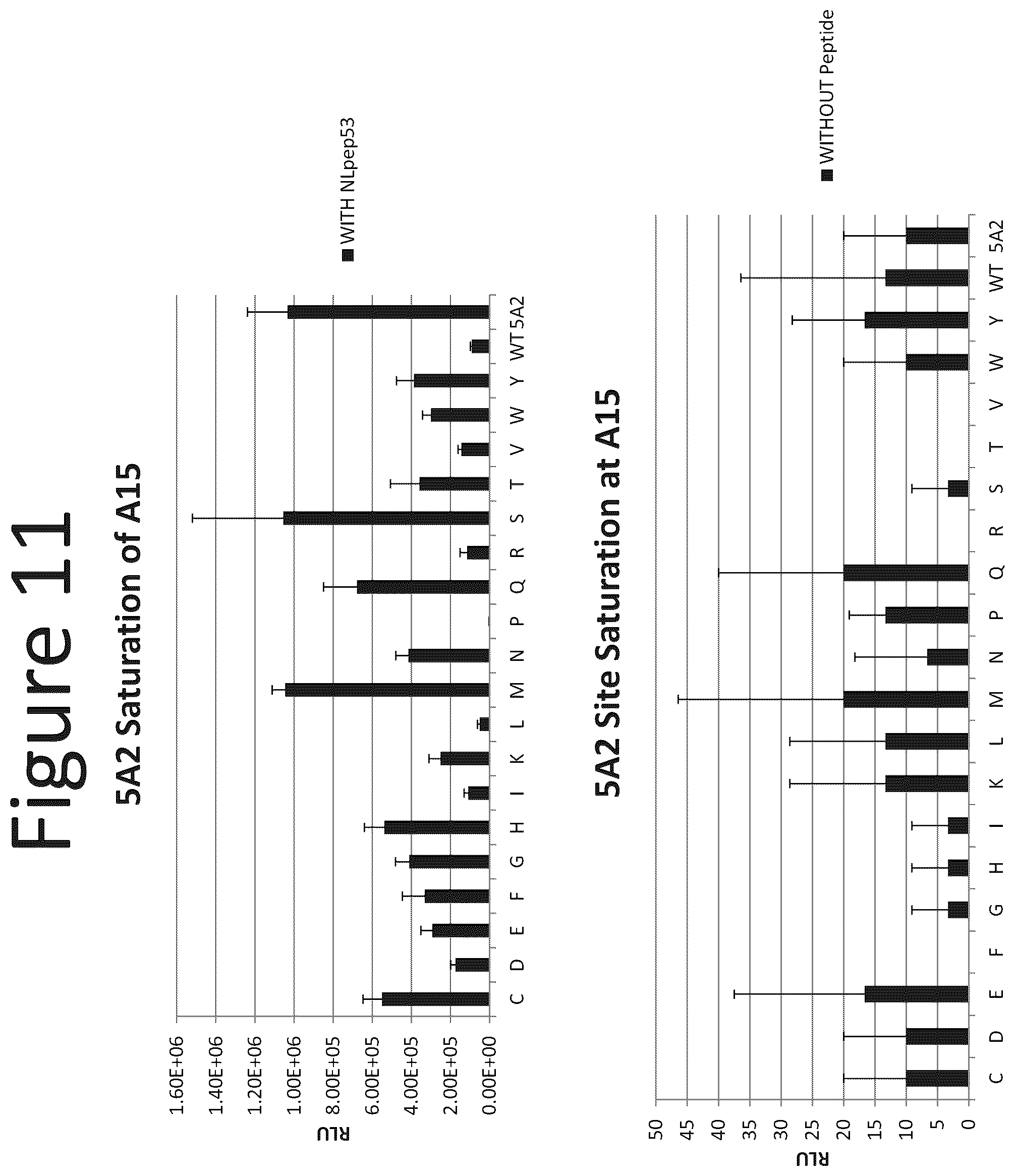 Patent US12367513 Figure 11 – Activation of bioluminescence by structural complementation