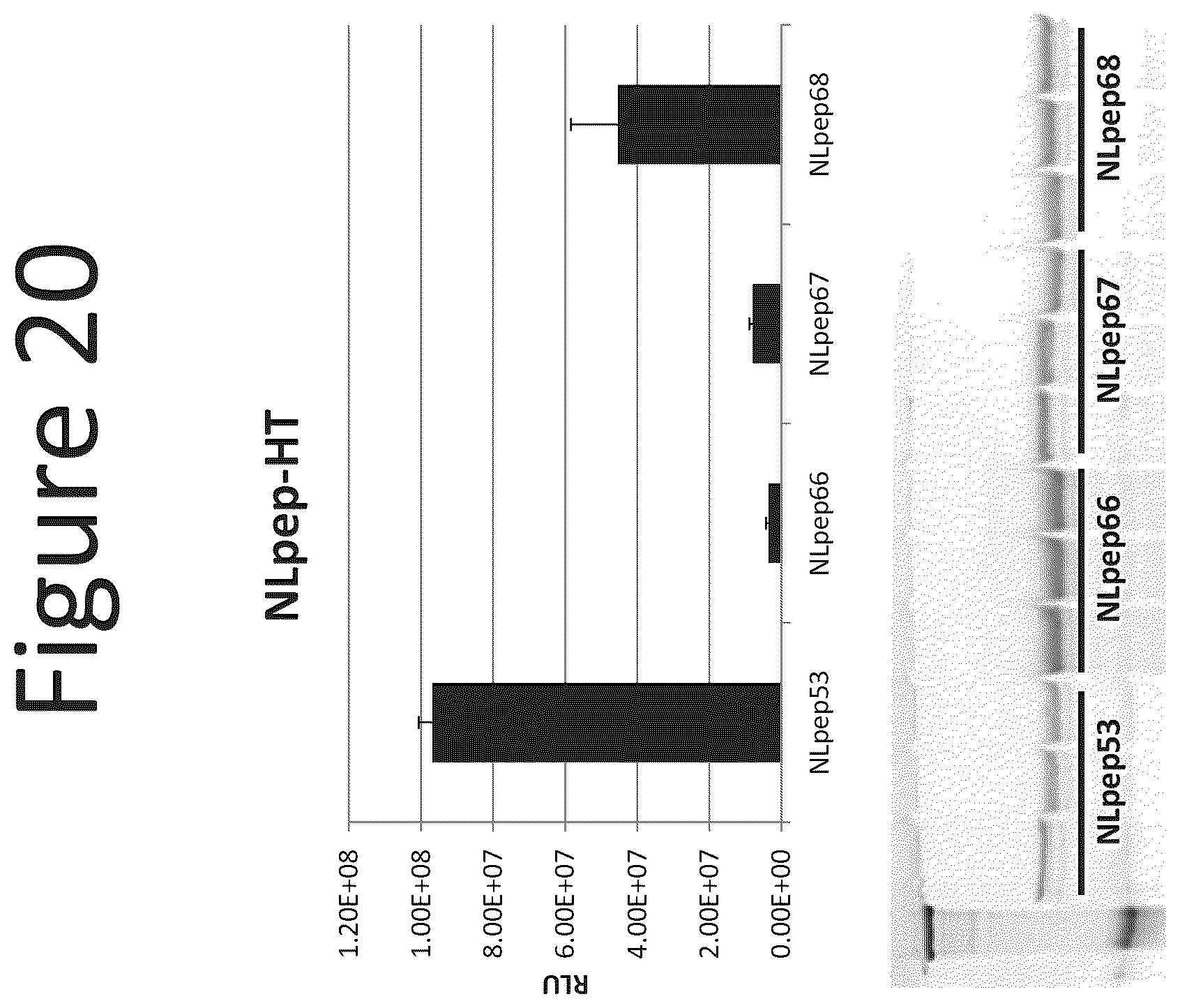 Patent US12367513 Figure 20 – Activation of bioluminescence by structural complementation