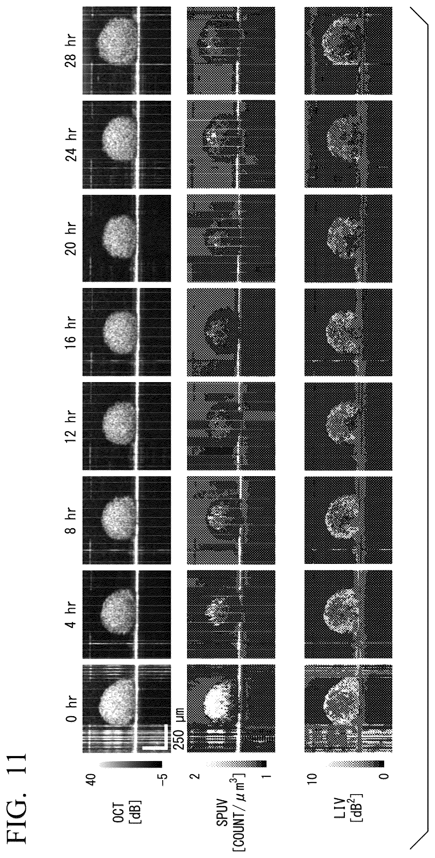 Patent US12367548 Figure 8 – Measurement signal processing device, measurement signal processing method, and program