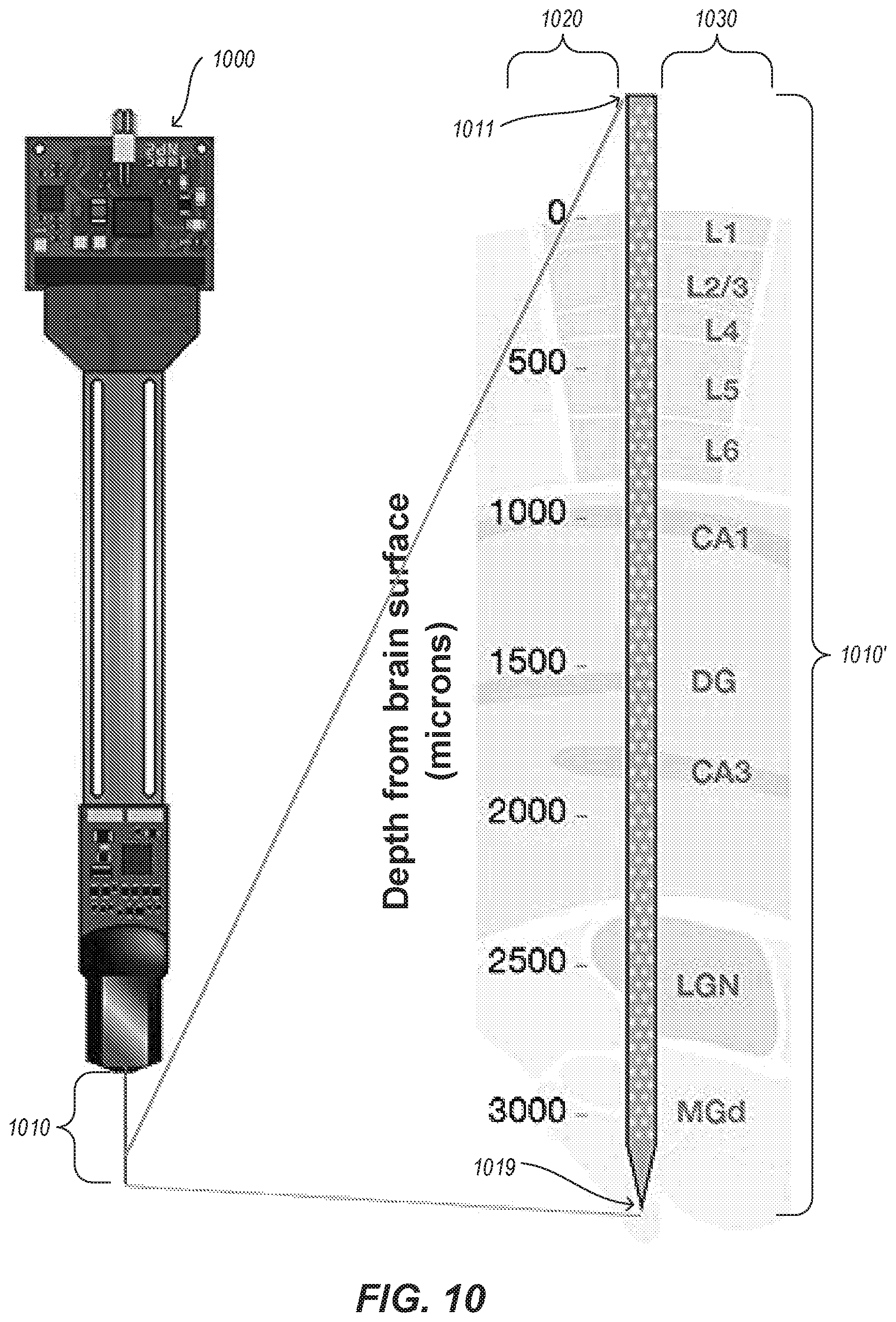 Patent US12367557 Figure 10 – Removing independent noise using DeepInterpolation