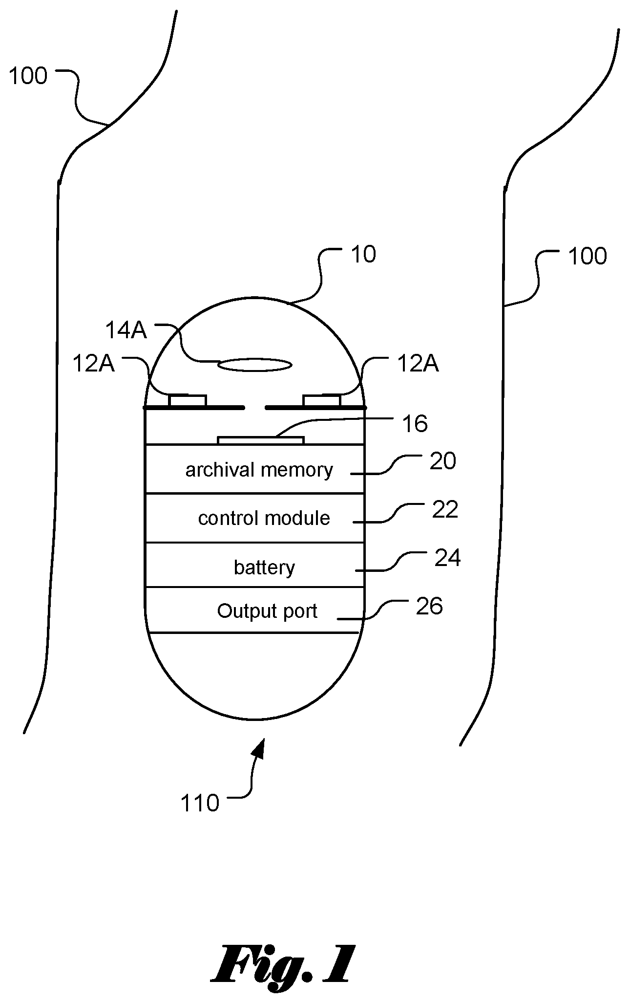 Patent US12367577 Figure 1 – System and method for reviewing capsule images with detected regions of interest