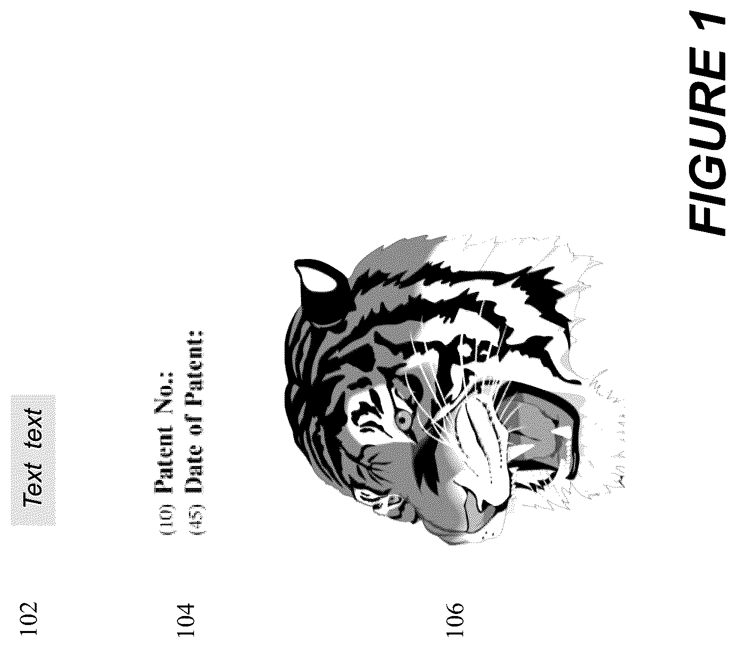 Patent US12367623 Figure 1 – Perspective correct vector graphics rendering techniques
